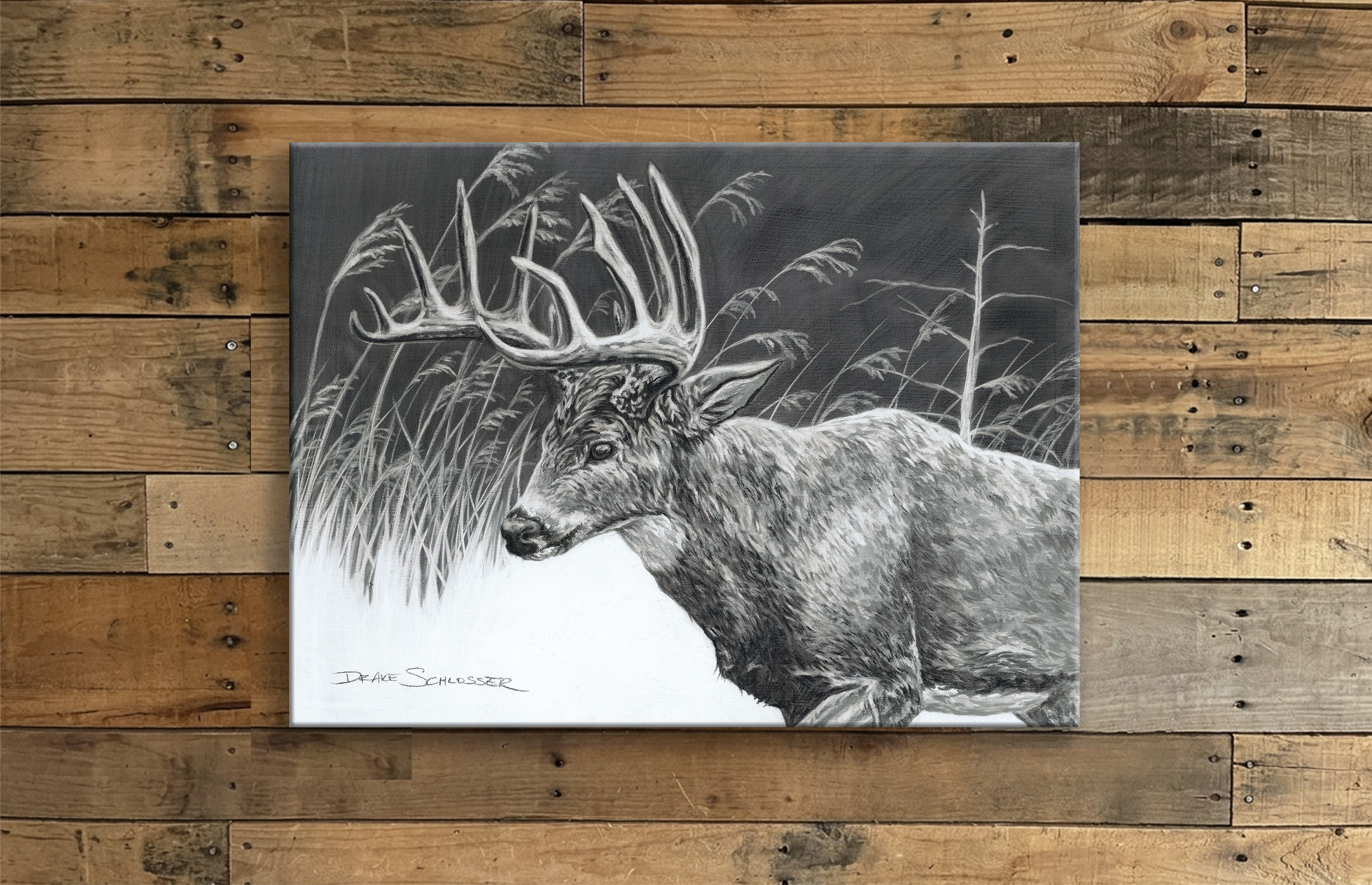 Stretched Canvas Print