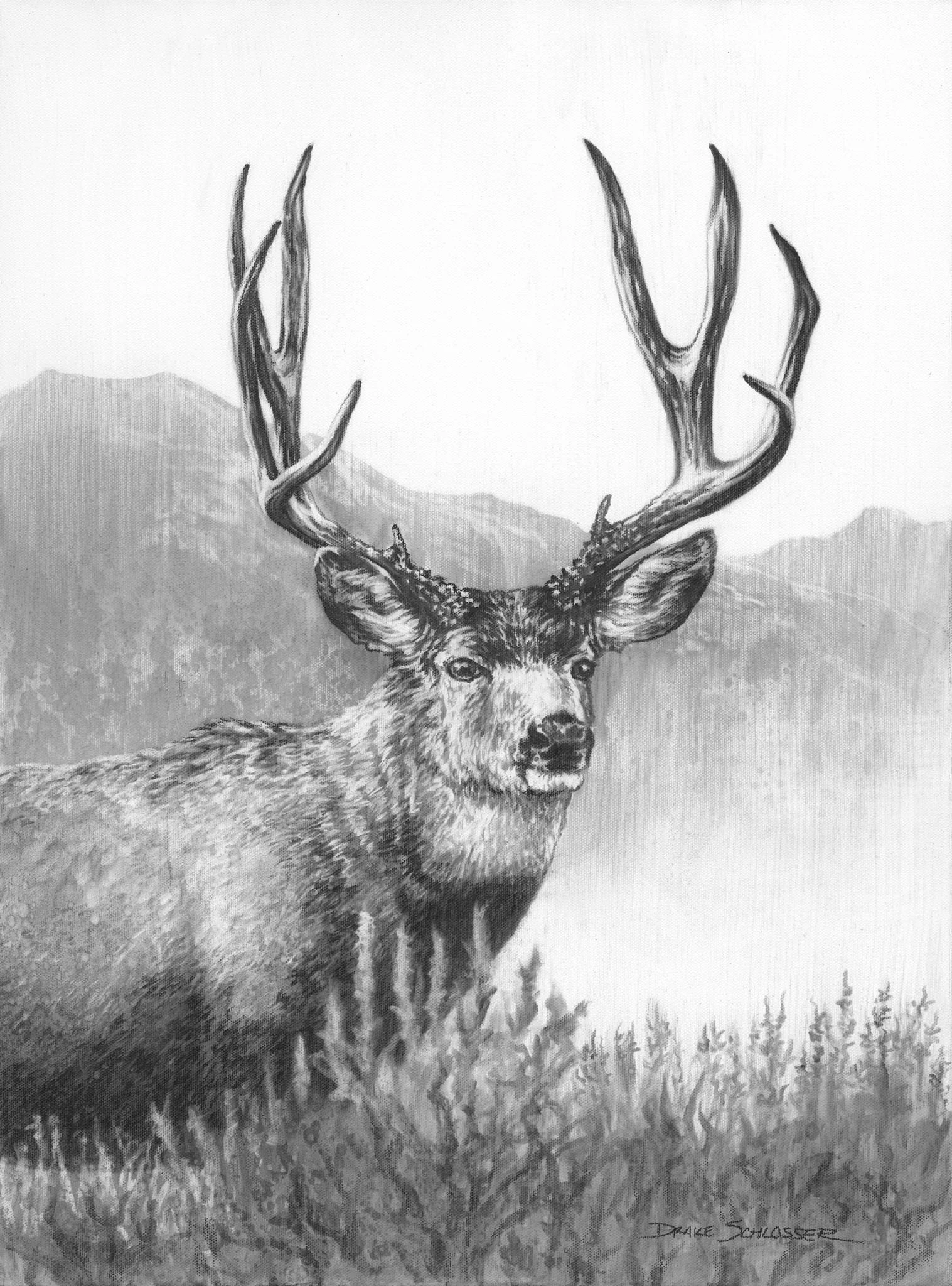 Sage King