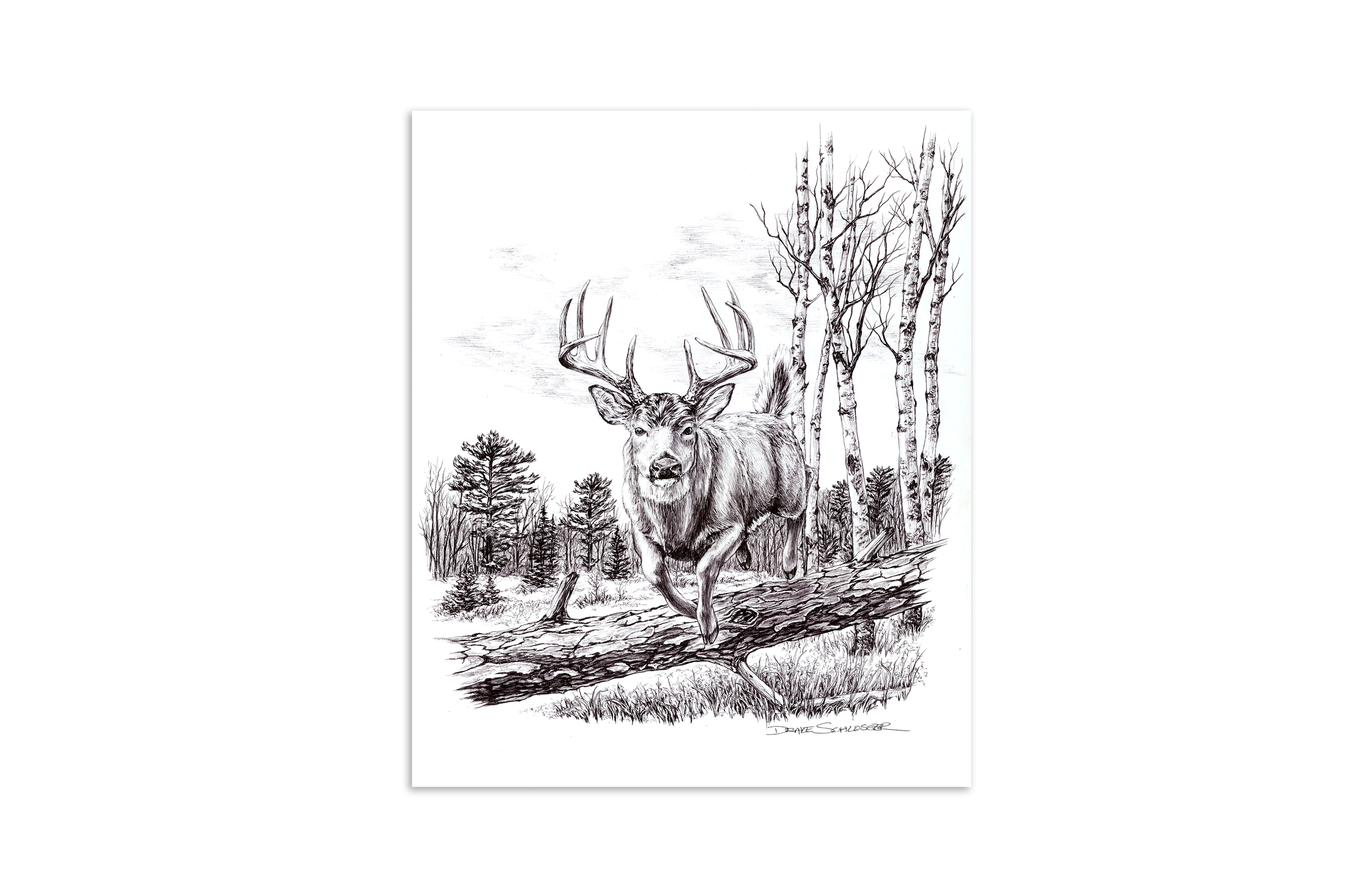 Matte Paper Print