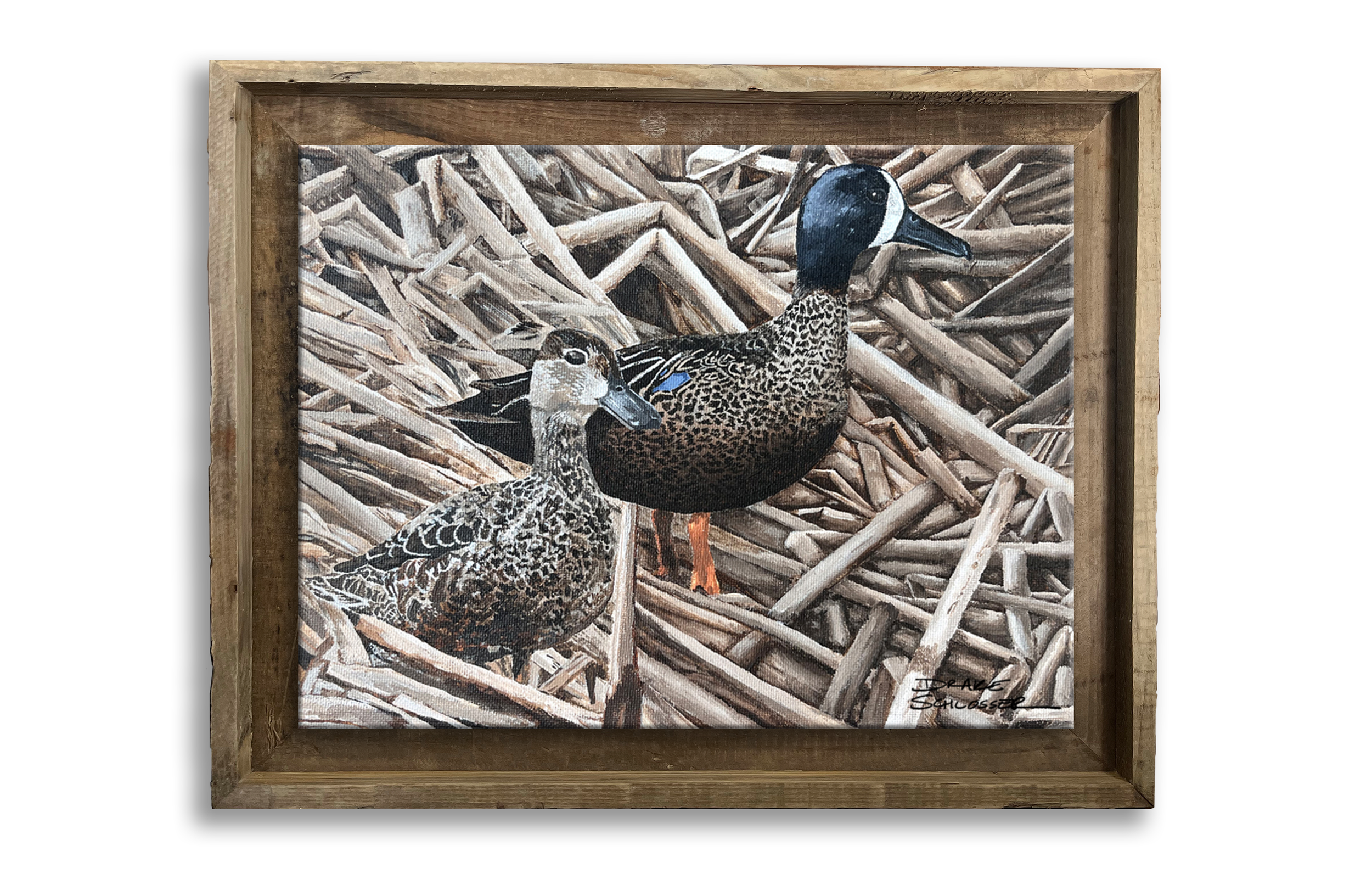 Framed Stretched Canvas Print