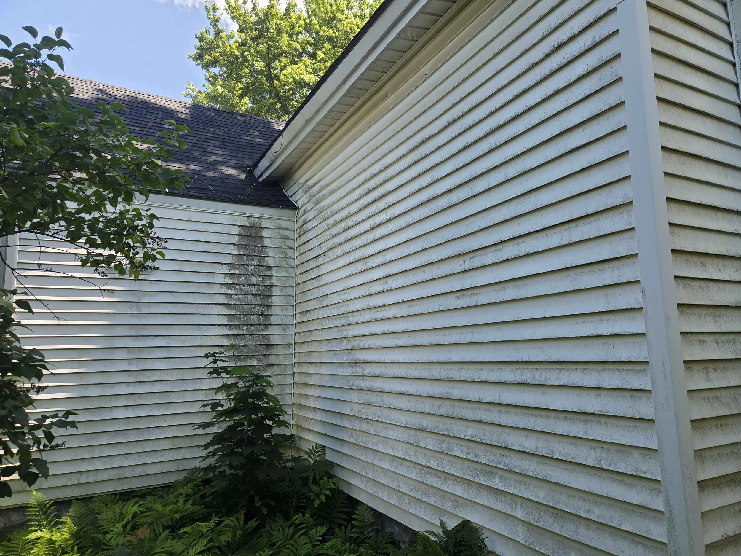 20260711_132425.jpg