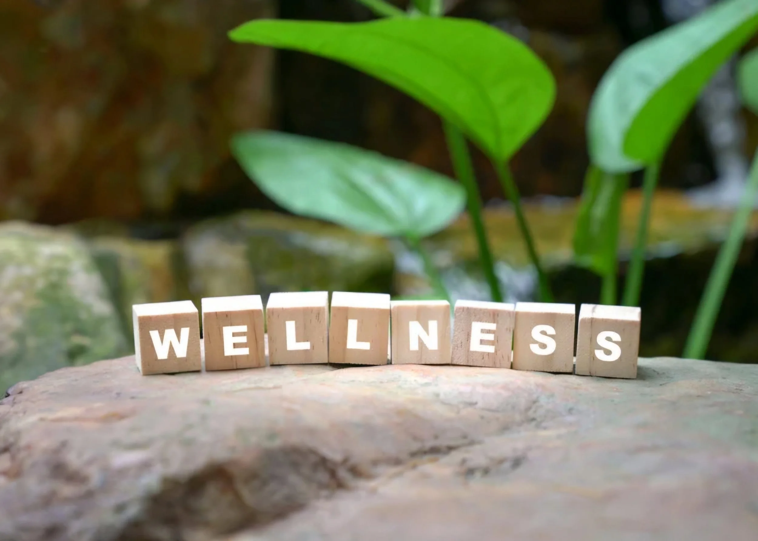 Wooden blocks arranged to spell 'WELLNESS' in front of a natural background with green leaves and a blurred environment.