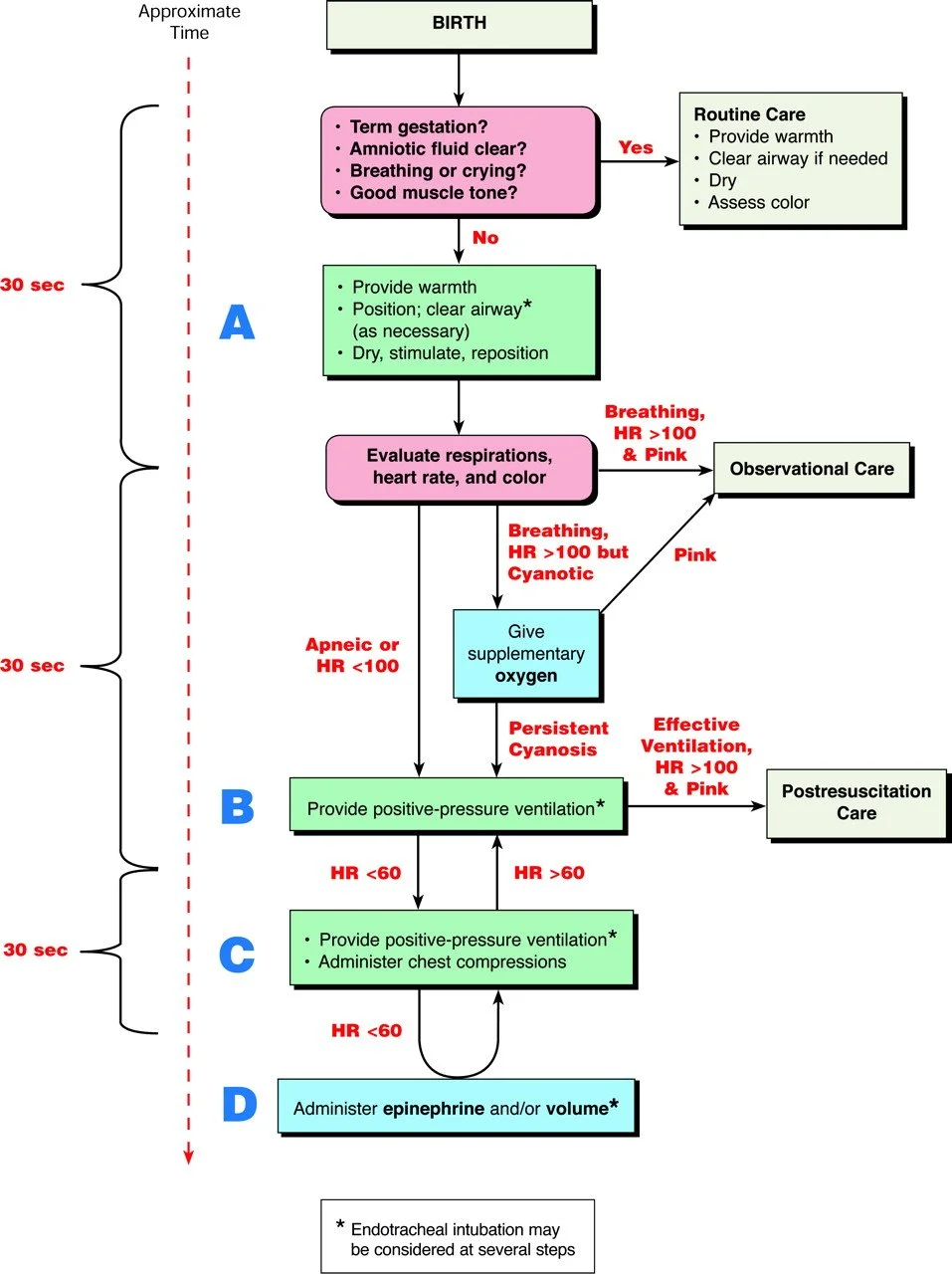 Neonatal resuscitation algorithm