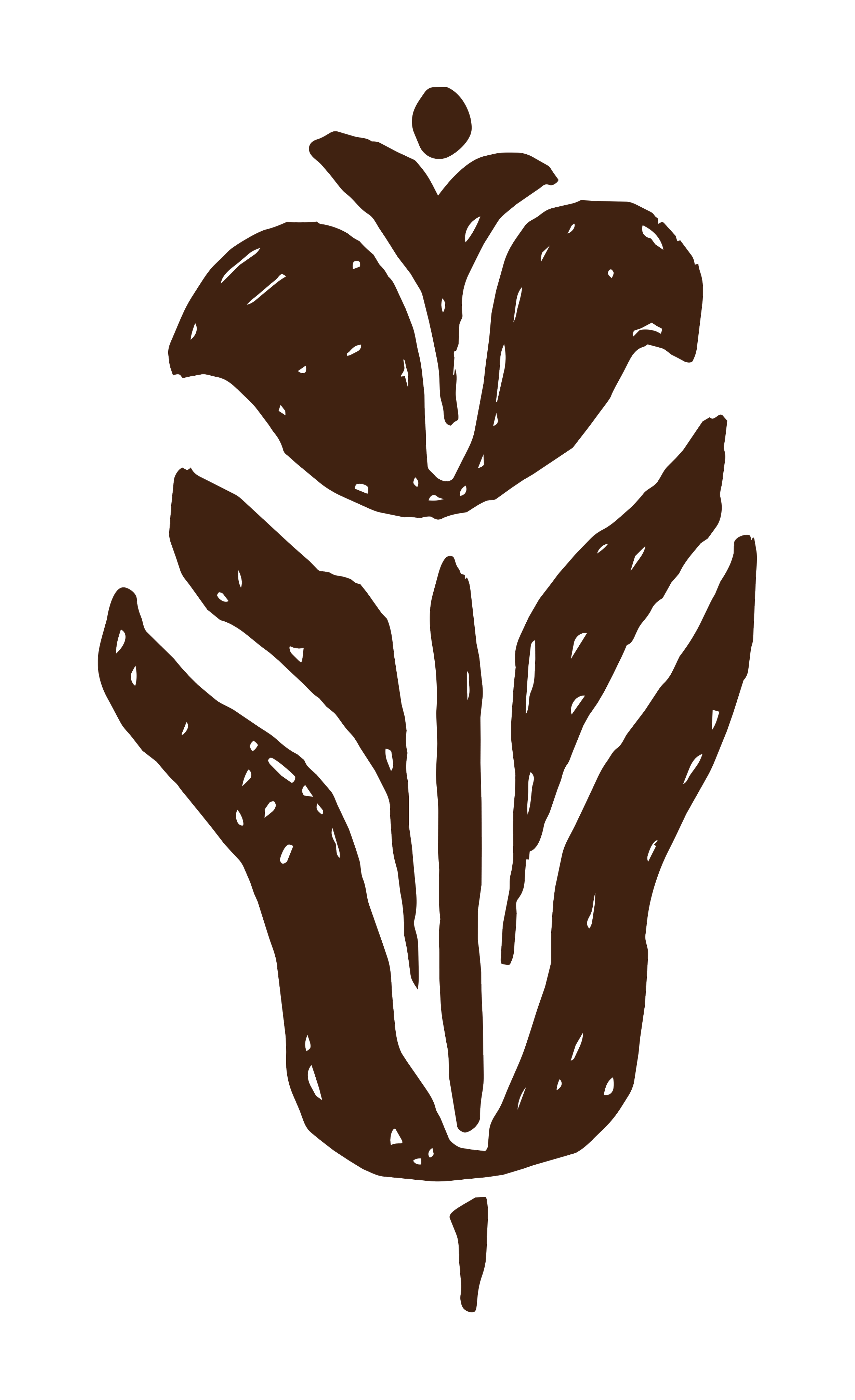 Illustration of a hand holding a blooming flower with large petals and a stem