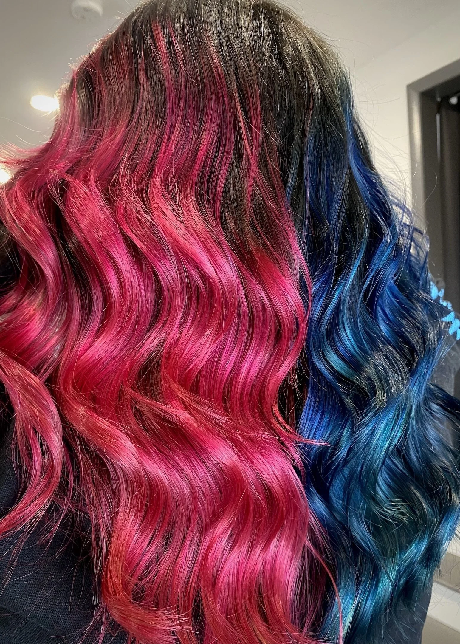 Vivid Color Portfolio