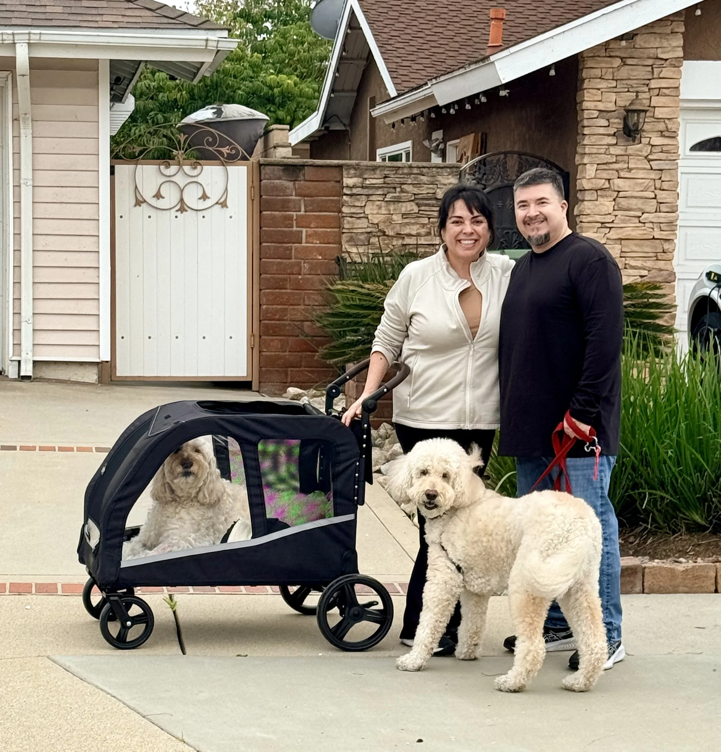Our Journey with Ethel Mae: Best Products for Senior Dog Mobility | Simply Linda Lee