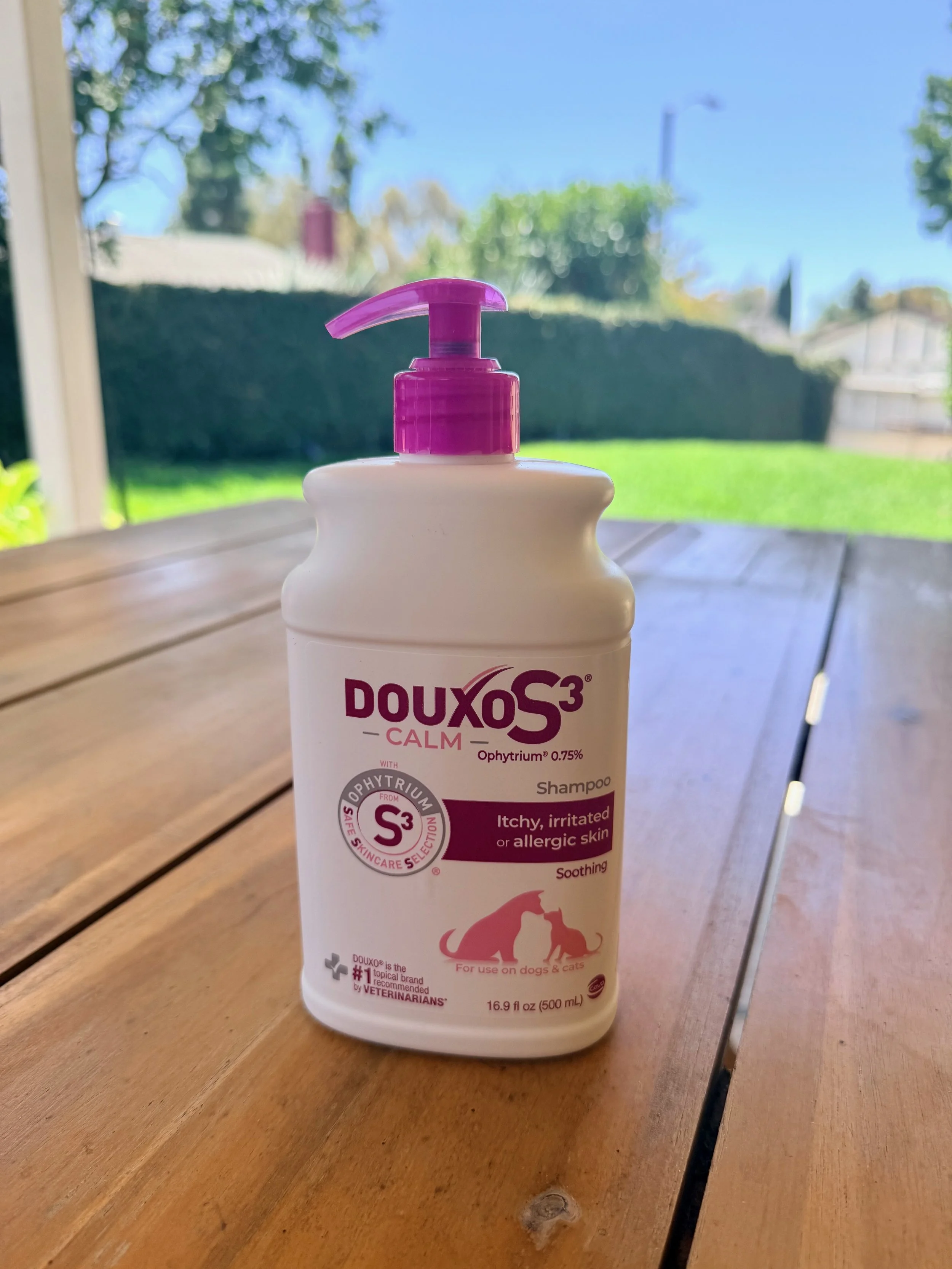 Perfect Shampoo for Skin Conditions