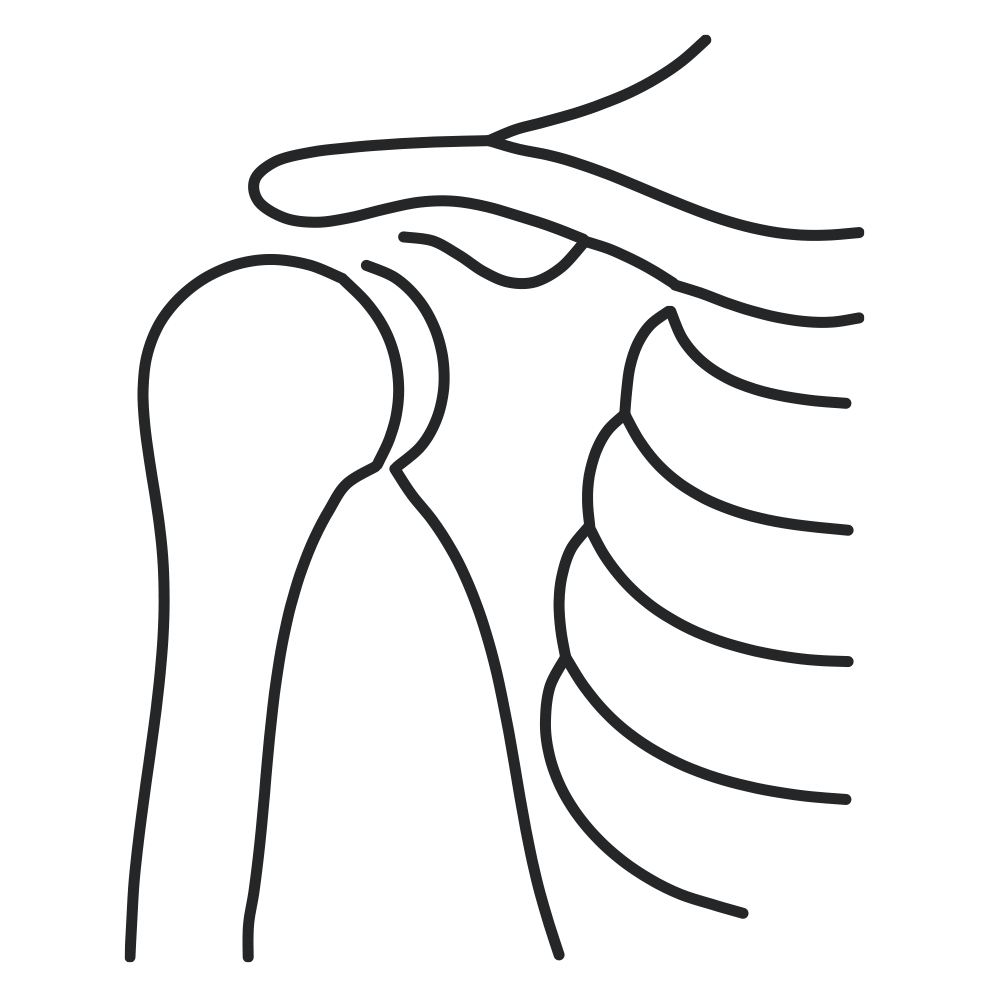 Outline of a human shoulder, collarbone, and upper rib cage with some muscles and bones.