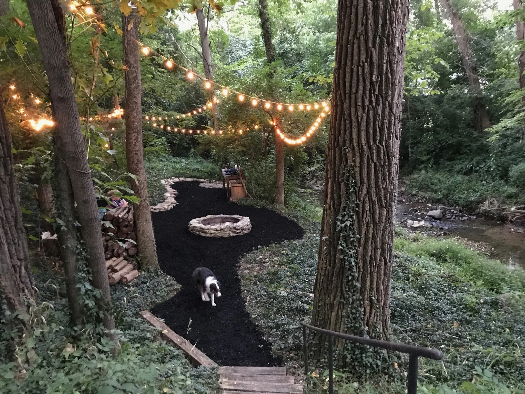 A wooded outdoor area with string lights hanging between trees. A small fire pit sits along a winding black gravel pathway, which is lined with cut logs. A black and white dog is walking on the path toward the camera.