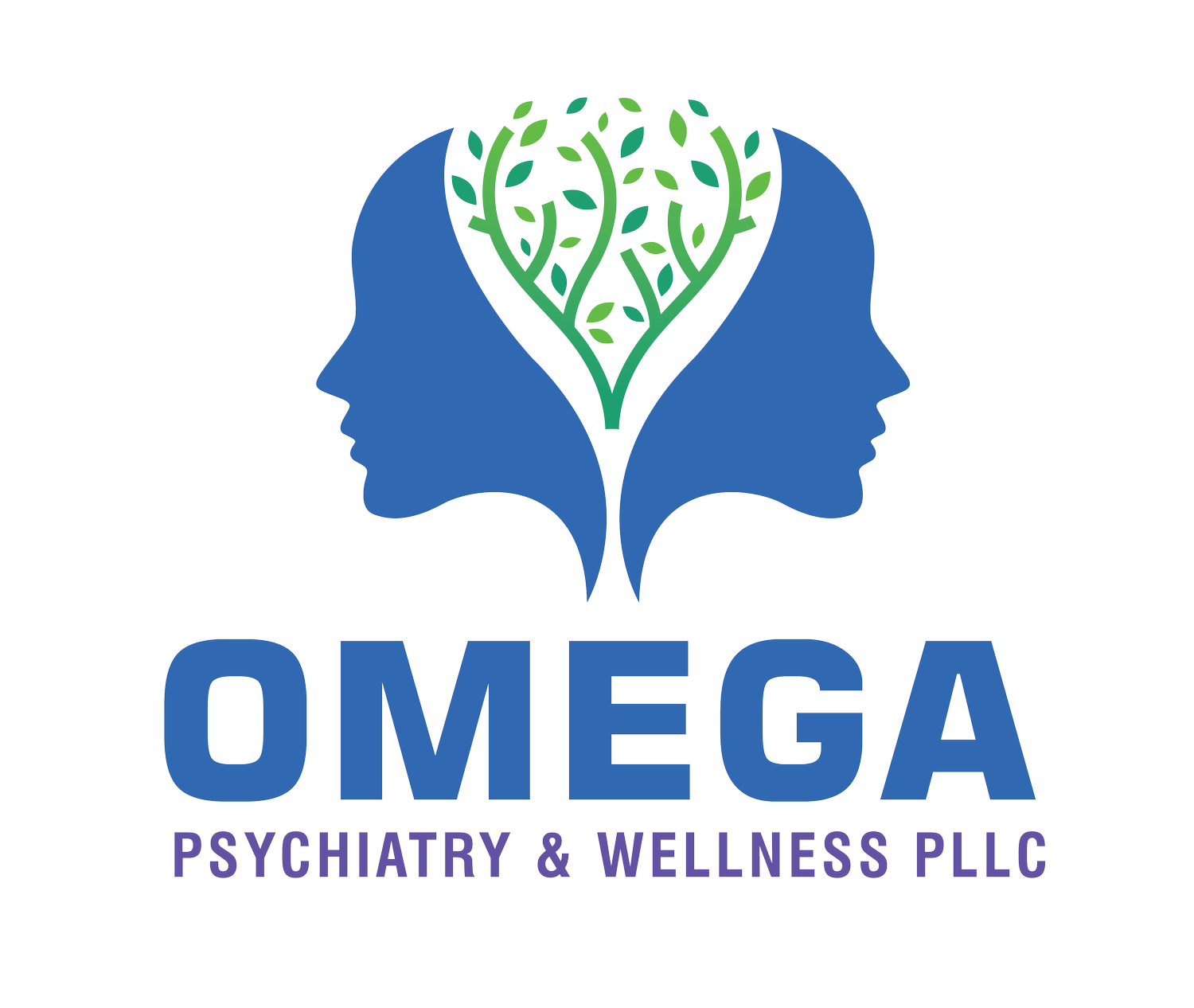 Omega Psychiatry &amp; Wellness PLLC