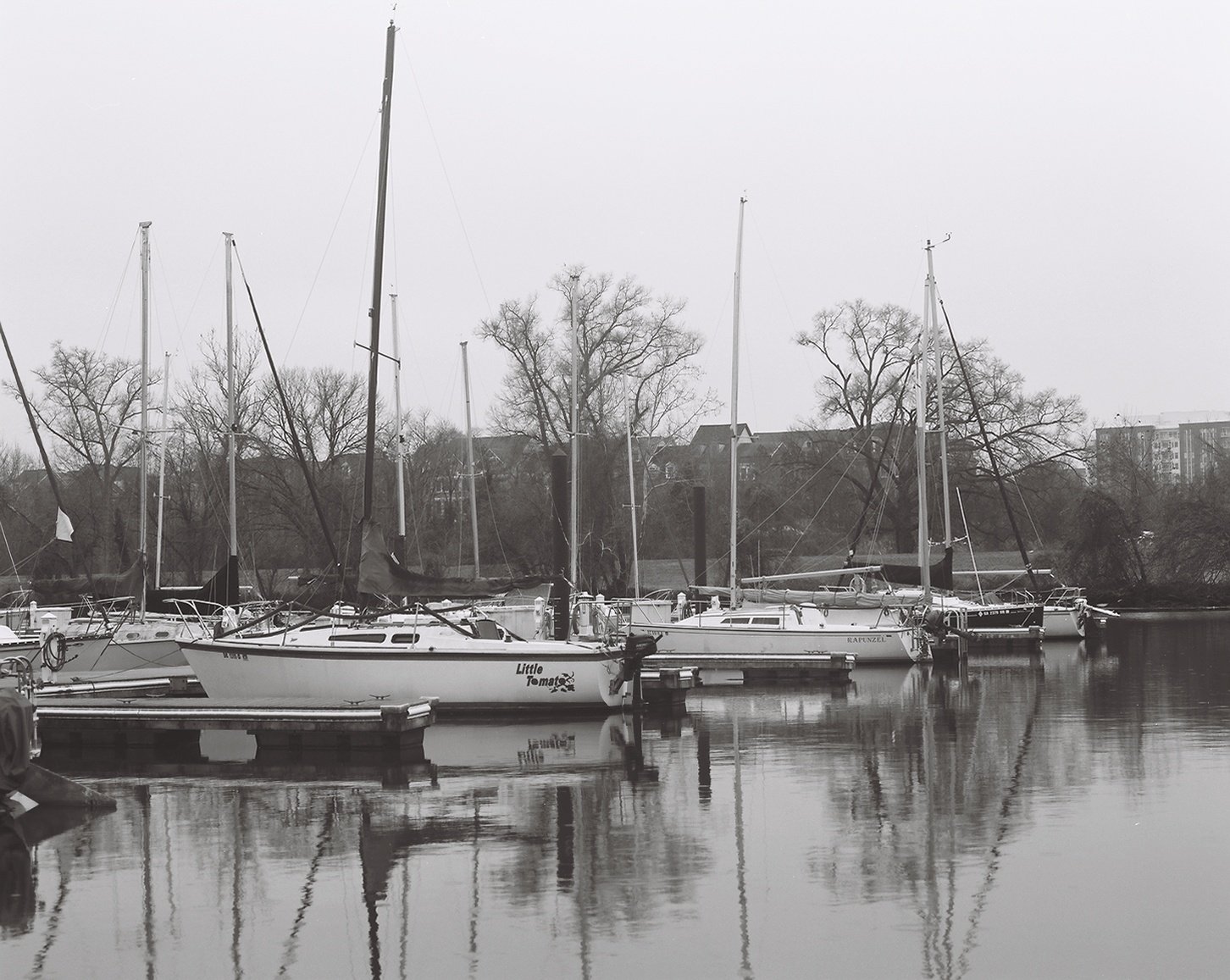 Several sailboats docked at a marina with leafless trees and buildings in the background, reflected on calm water.