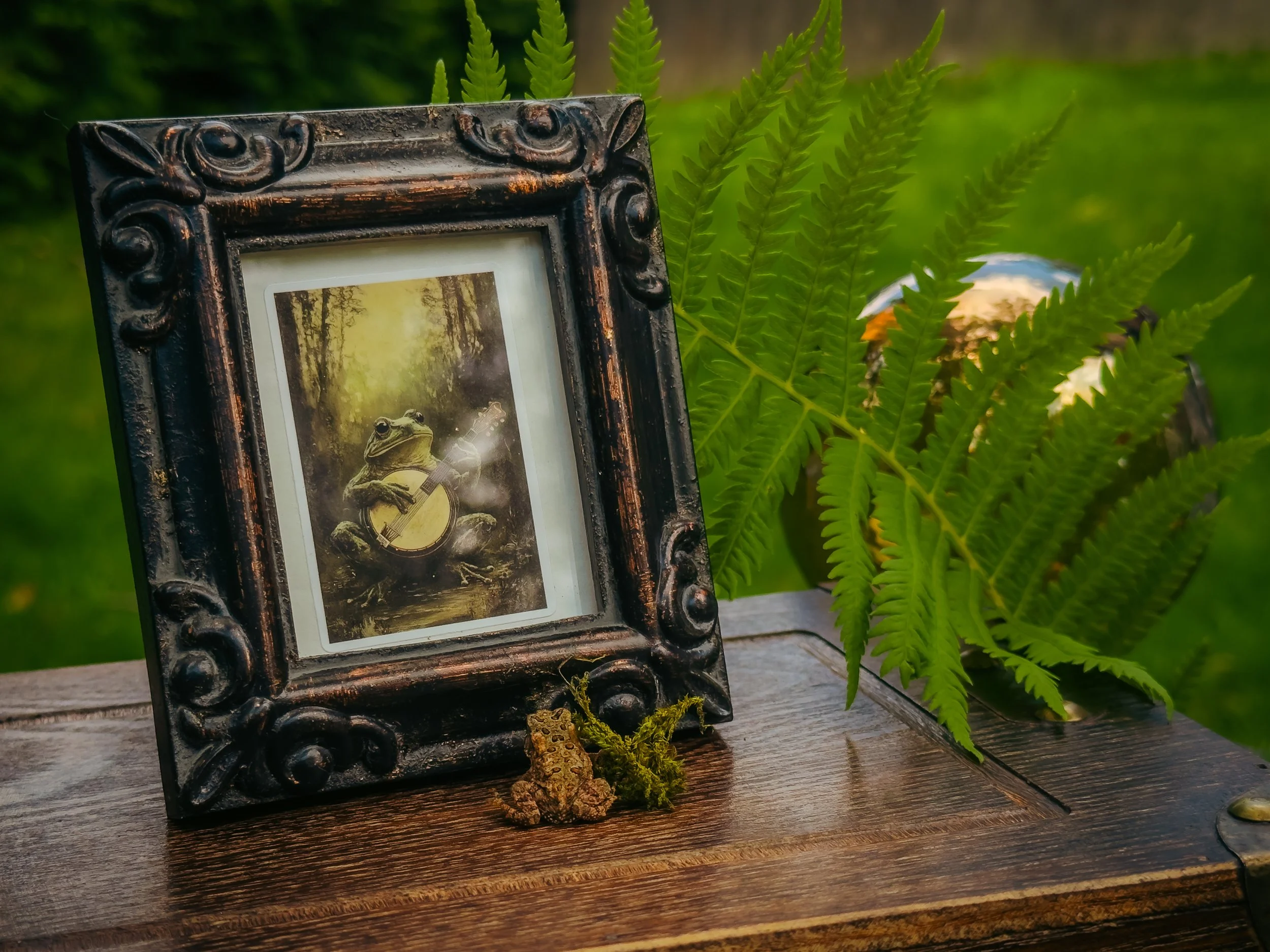 A decorative framed picture of a frog holding a banjo, surrounded by green fern leaves, placed on a small wooden vintage box outdoors.