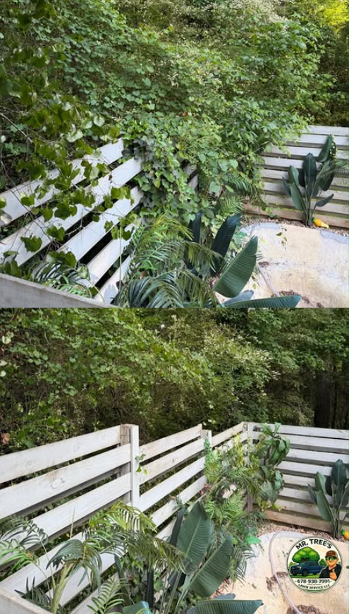 Removed encroaching forest debris to create a clean, usable outdoor living area.