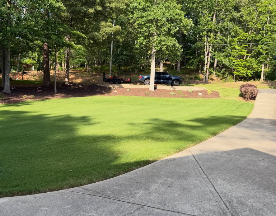 A freshly serviced lawn after our full-service lawn maintenance.