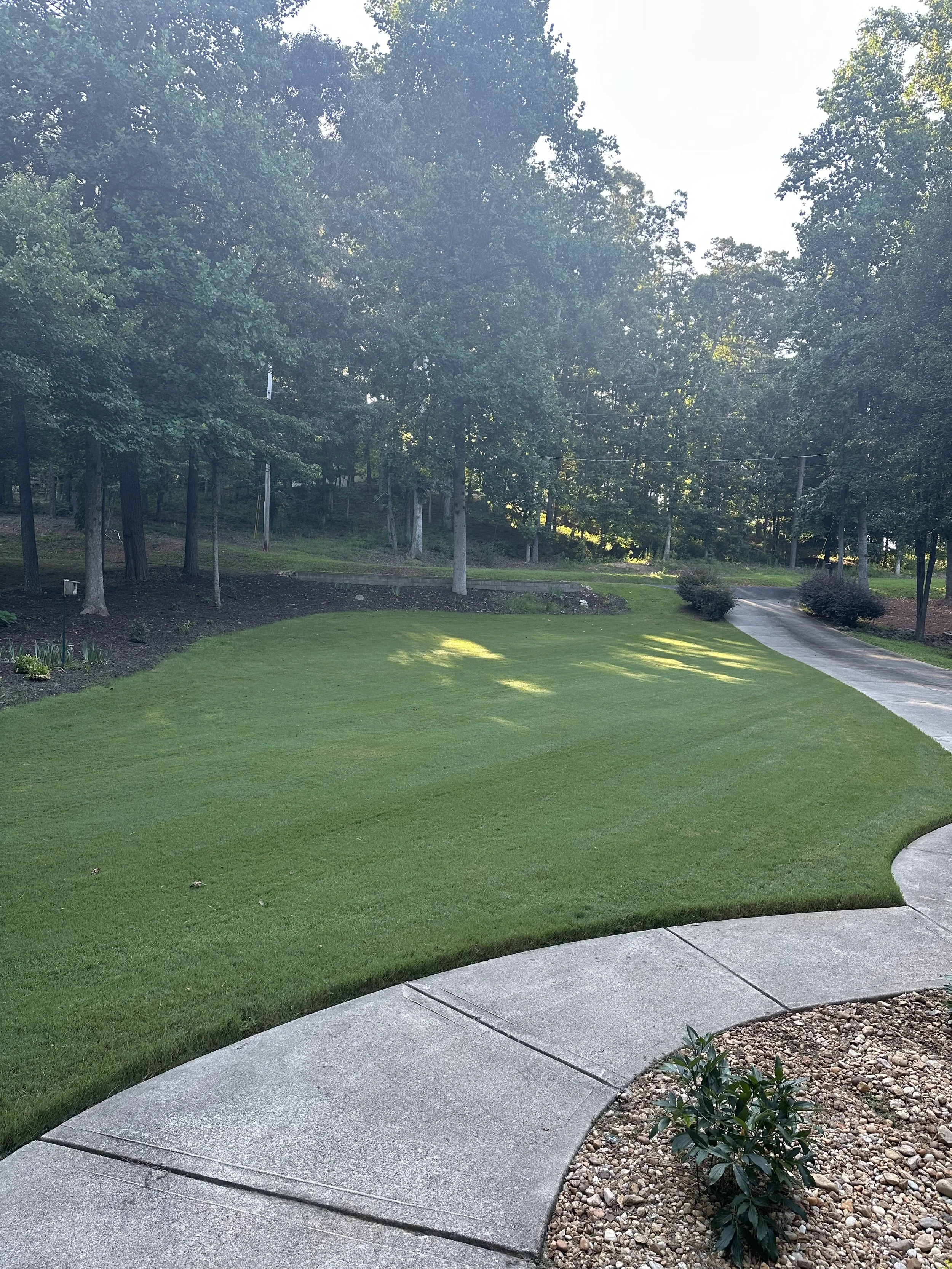 A client sent us this picture first thing in the morning saying "That's a pretty lawn, thank you!"
