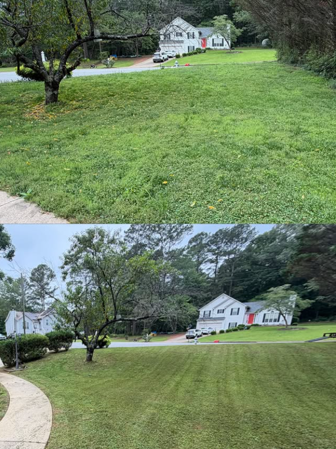 A freshly serviced lawn after our full-service lawn maintenance.