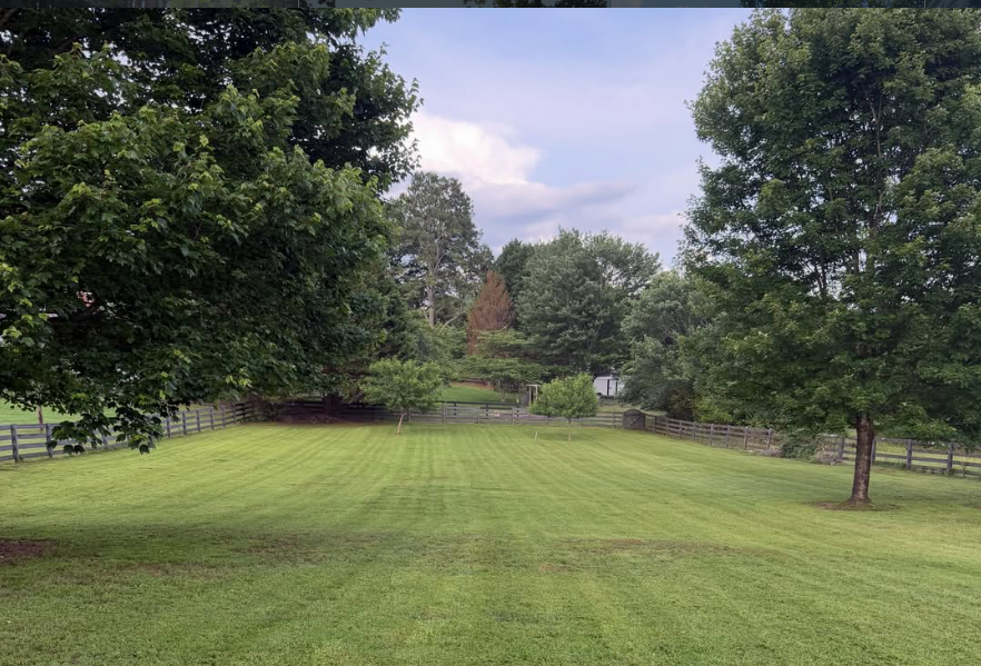 A freshly serviced lawn after our full-service lawn maintenance.