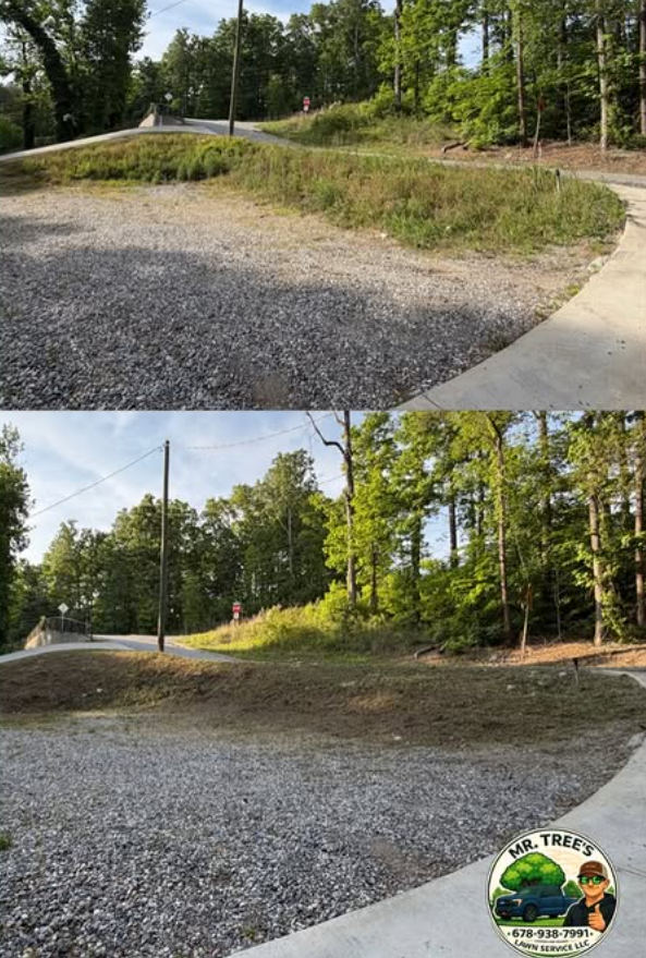 Maintaining a steep hillside with precision trimming for a clean, professional finish.