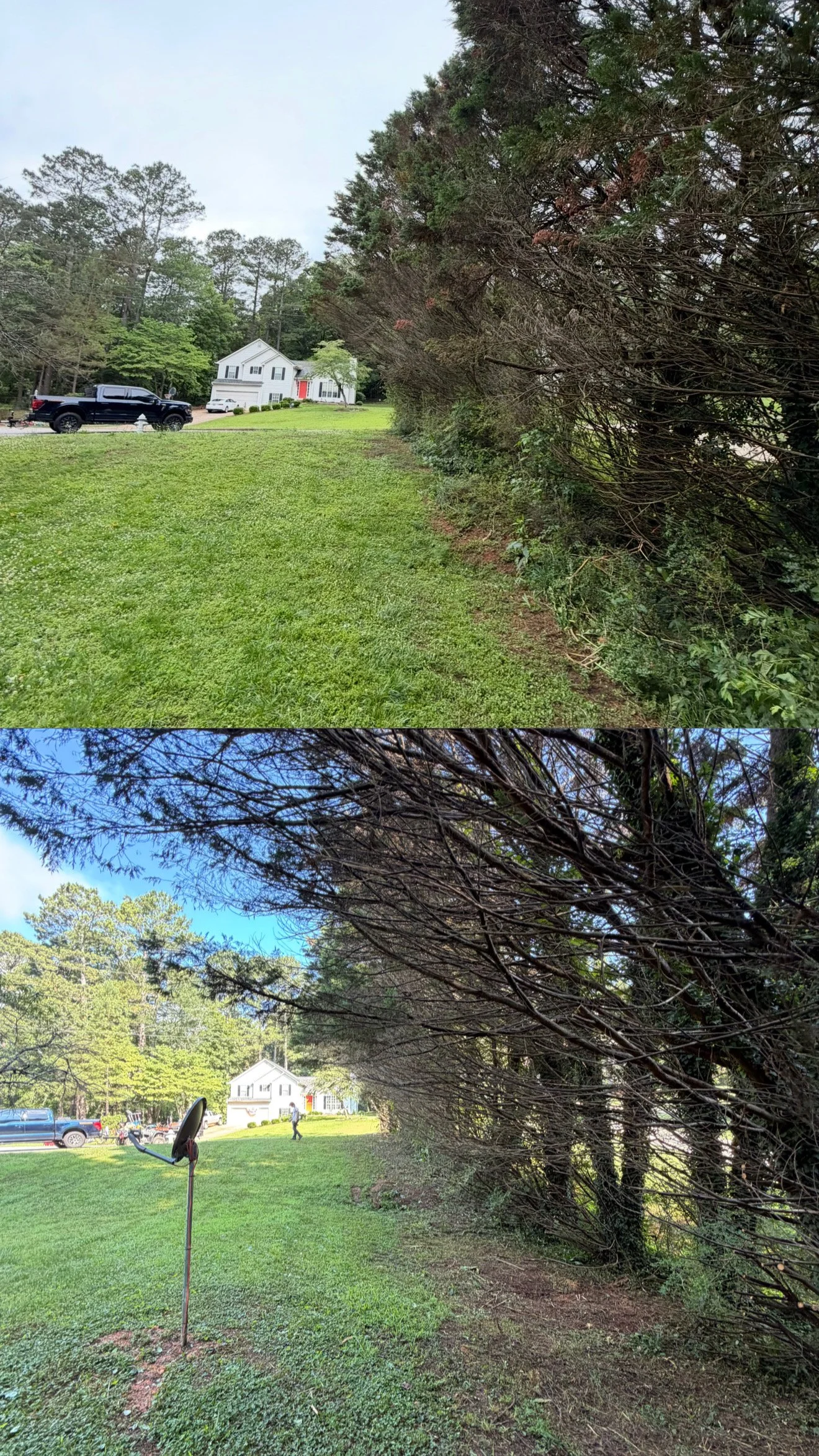 Before and after: Brush and undergrowth removal along a client's property line.
