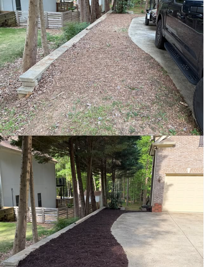 Front yard island transformation featuring fresh mulch installation using more than 120 bags of premium mulch.