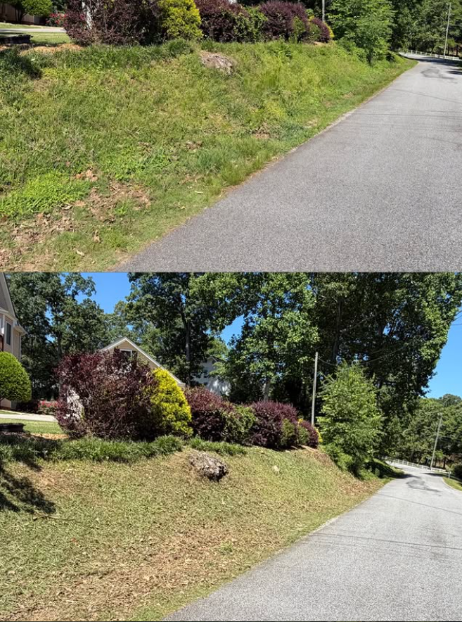 Steep terrain is no problem—professional weed trimming on a difficult hillside.