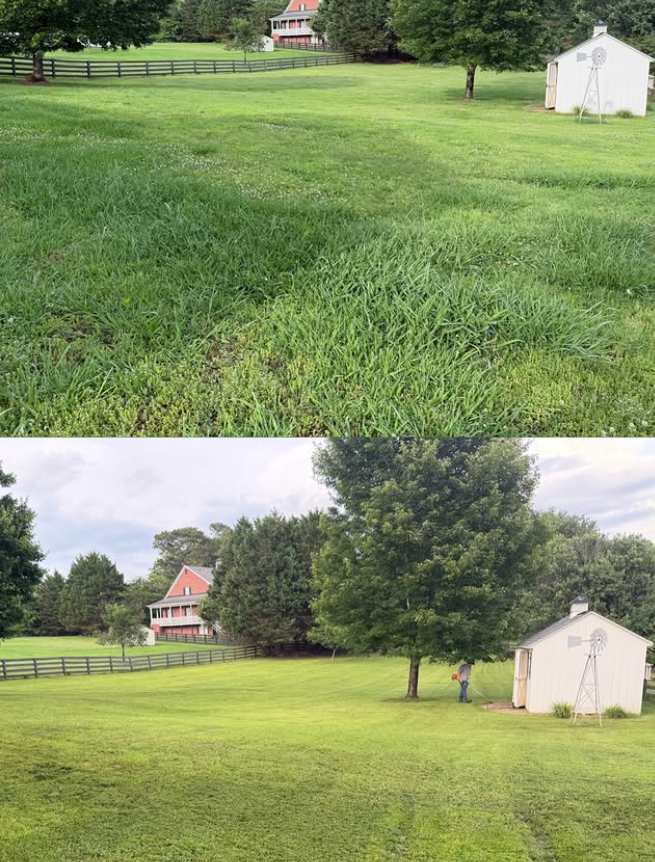 A freshly serviced lawn after our full-service lawn maintenance.