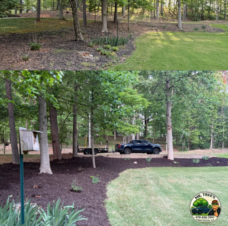 Front yard island transformation featuring fresh mulch installation using more than 120 bags of premium mulch.