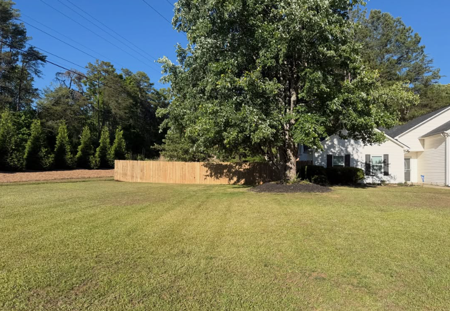 A freshly serviced lawn after our full-service lawn maintenance.