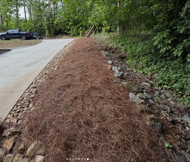 Before and after of a landscape bed cleanup, clearing, and fresh pine straw installation.