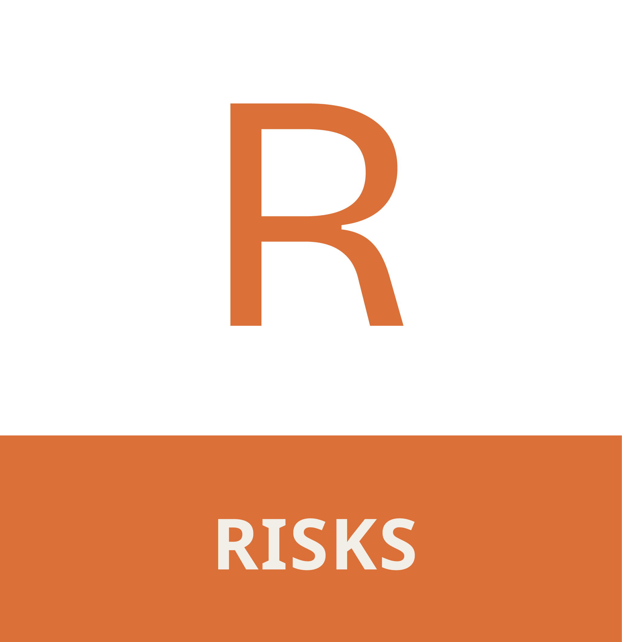 A book cover titled 'Risk' with an orange background and white text, featuring a large stylized letter 'R' in brown.