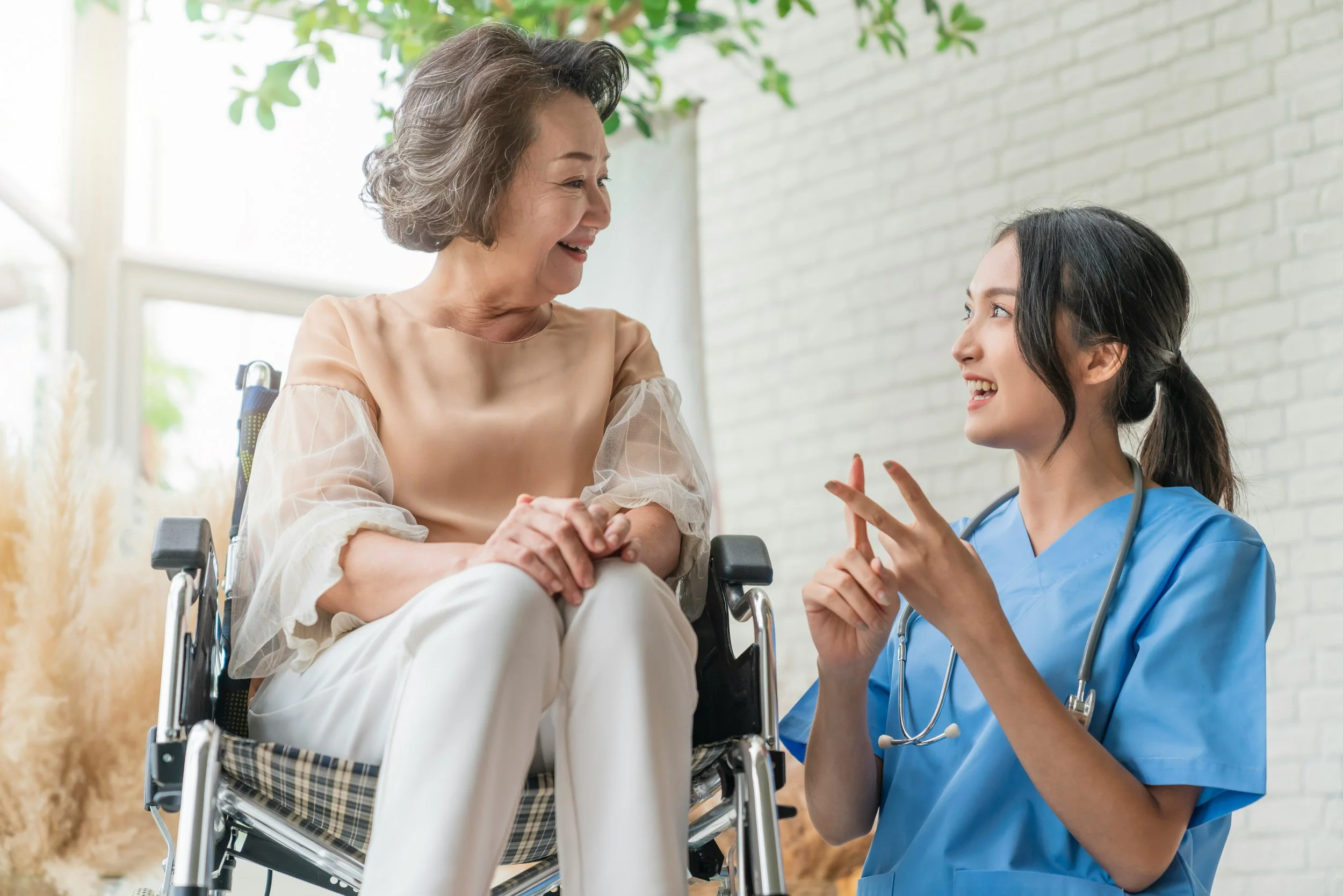 A wheelchair-bound elderly woman and a young female nurse with a stethoscope engaged in conversation, smiling in a bright room with a window and green plants.