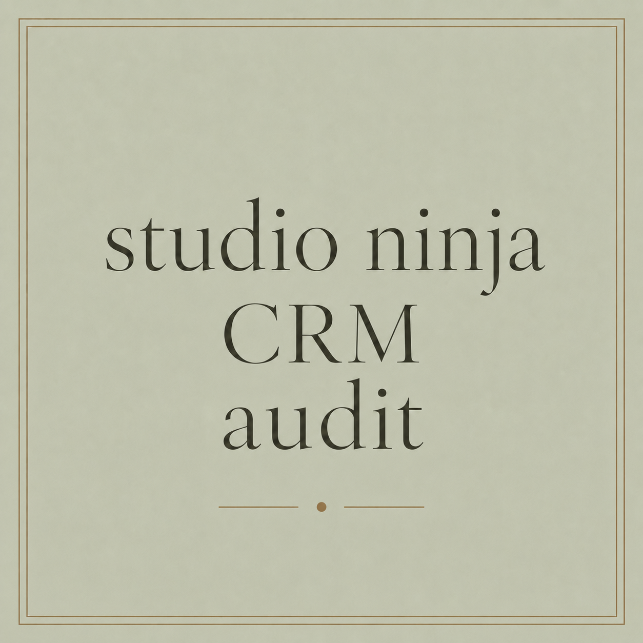 Studio Ninja CRM audit