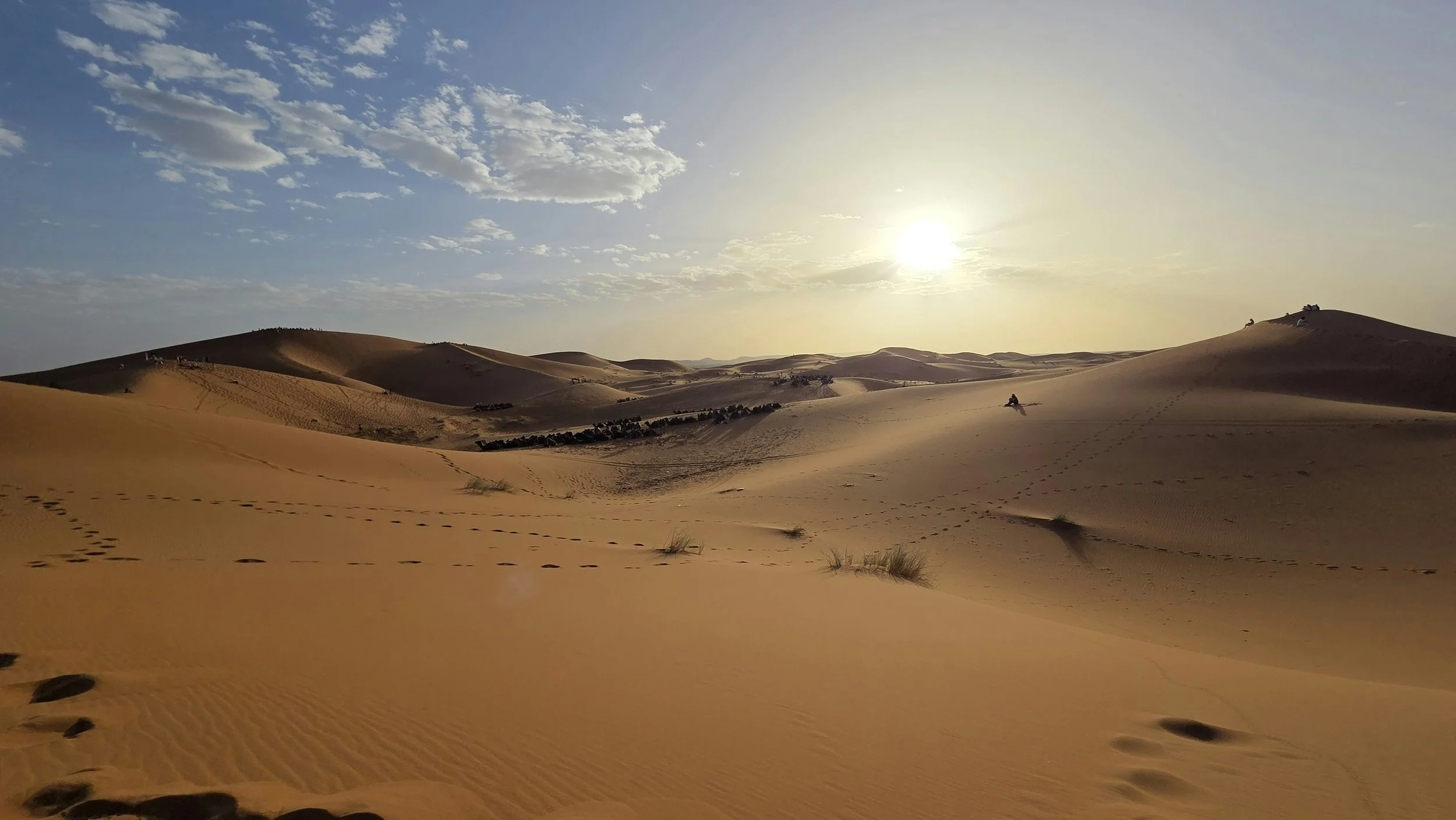 Wind-swept desert dunes under a partly cloudy sky with the sun low on the horizon, and animal tracks in the sand.