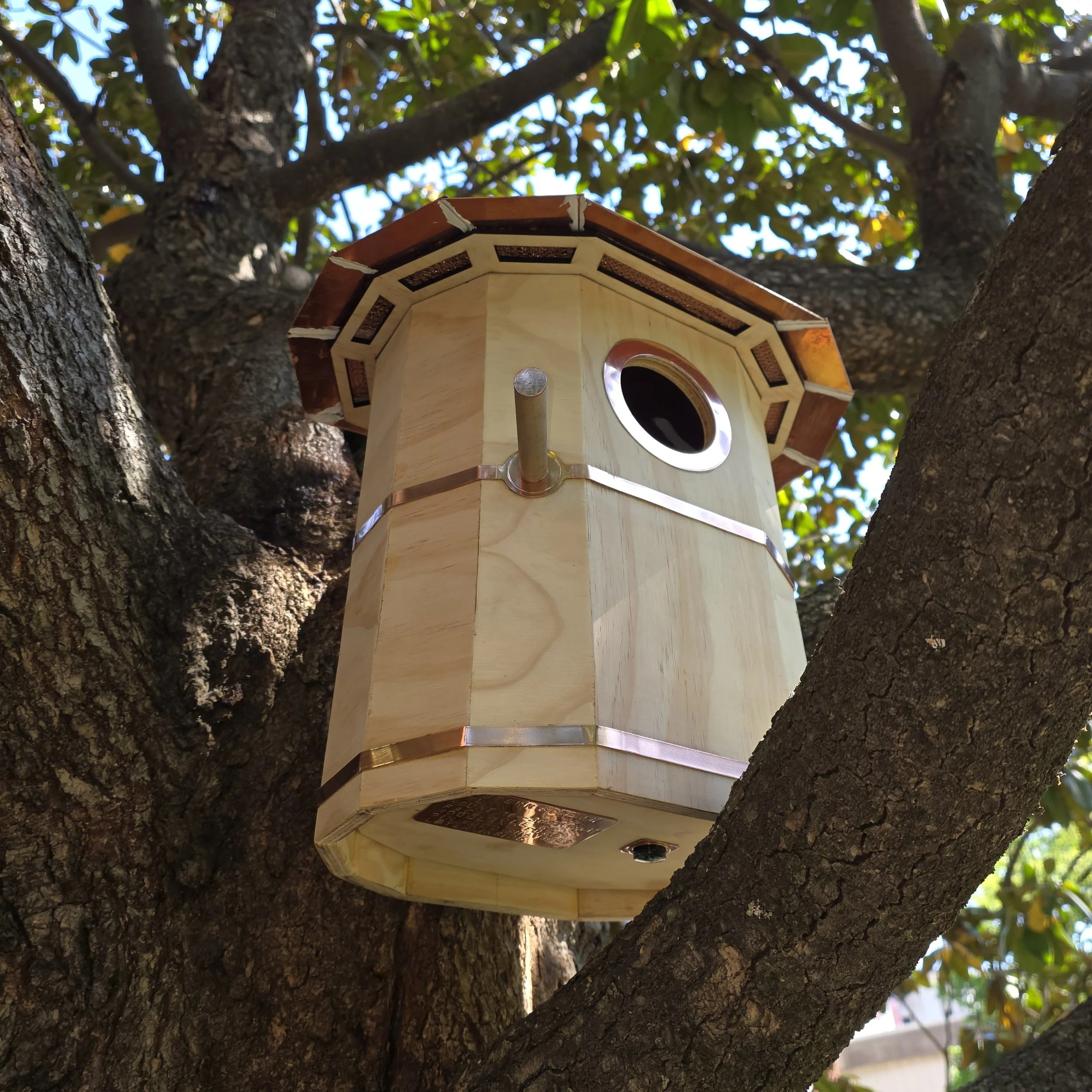 Screech Owl House