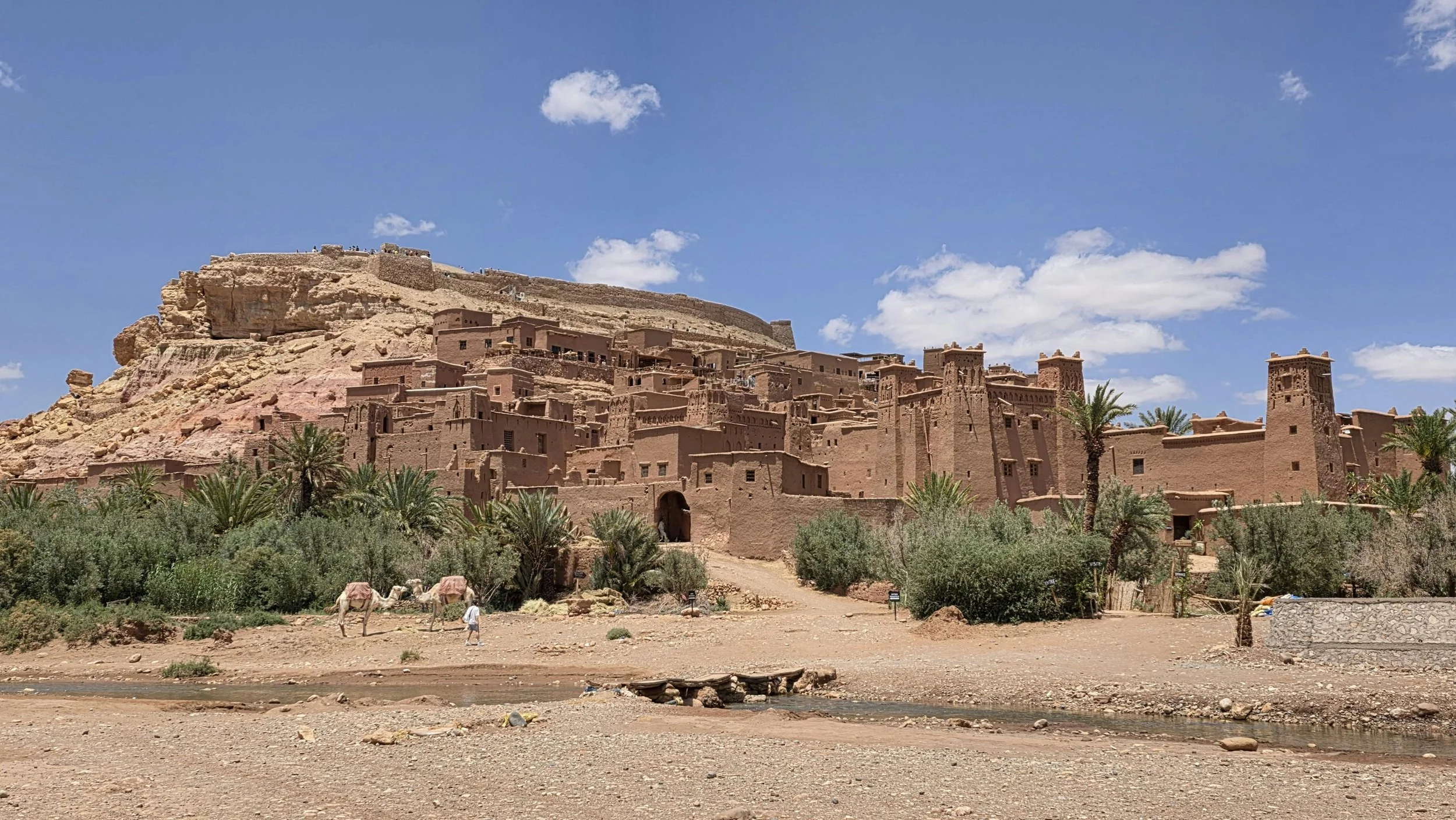 Ancient desert city built into a hillside with mud-brick buildings, palm trees in foreground, camels and people in the open area, under a blue sky with scattered clouds.