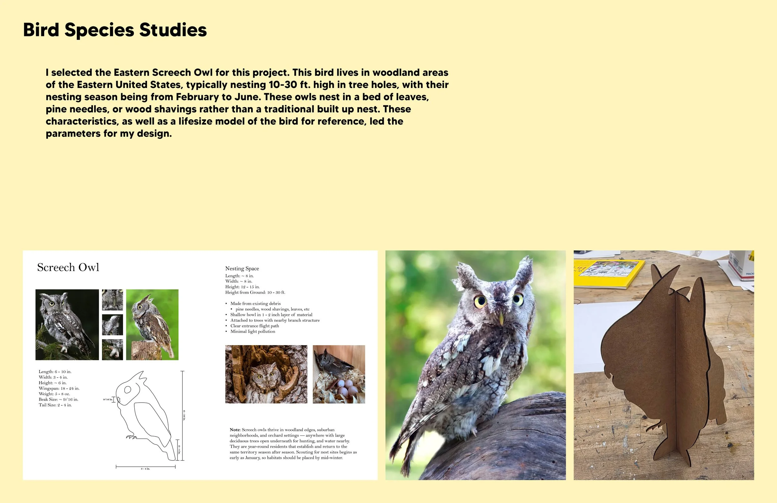 A15 Process Book2.jpg