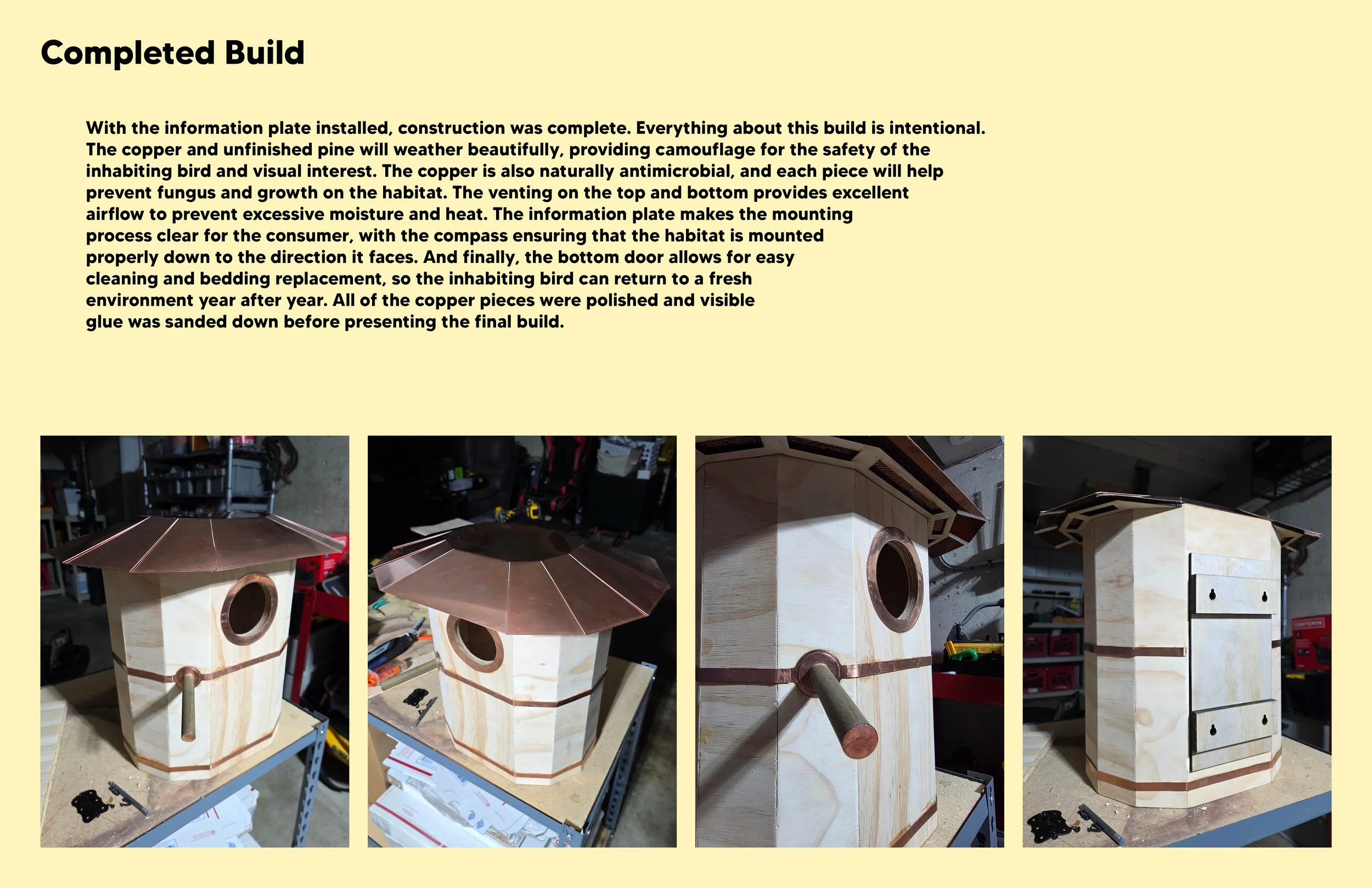 A15 Process Book11.jpg