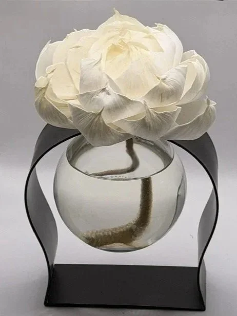 5.iron%2Bvessel%252465.%252475.jpg