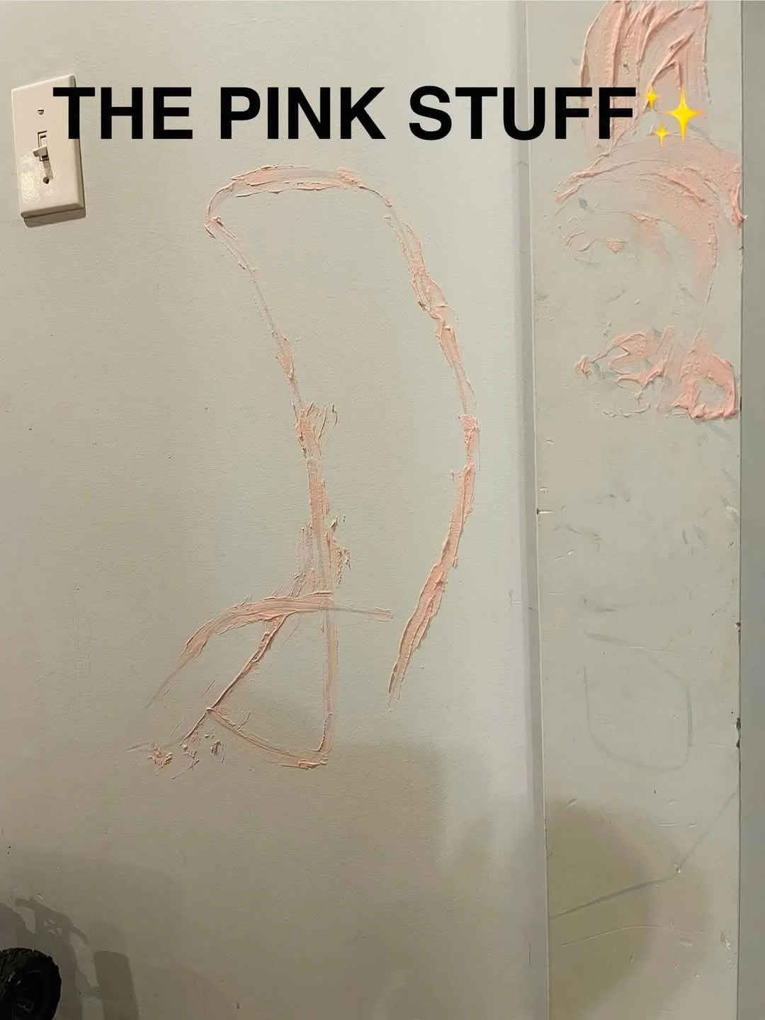1000003964.jpg