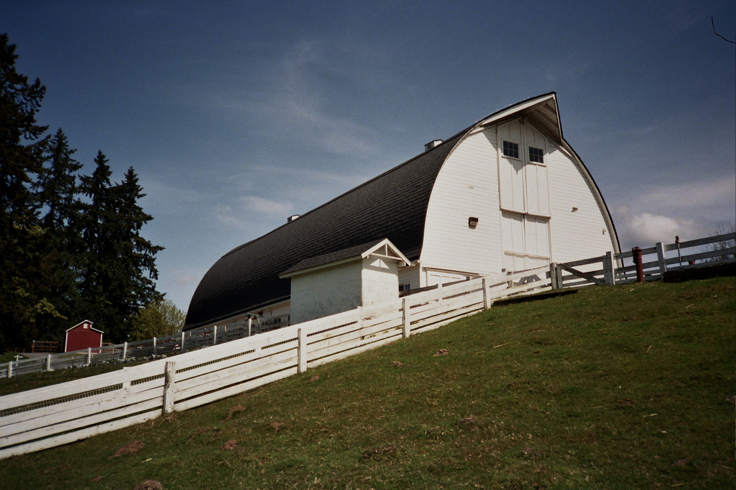IMG_4948.png