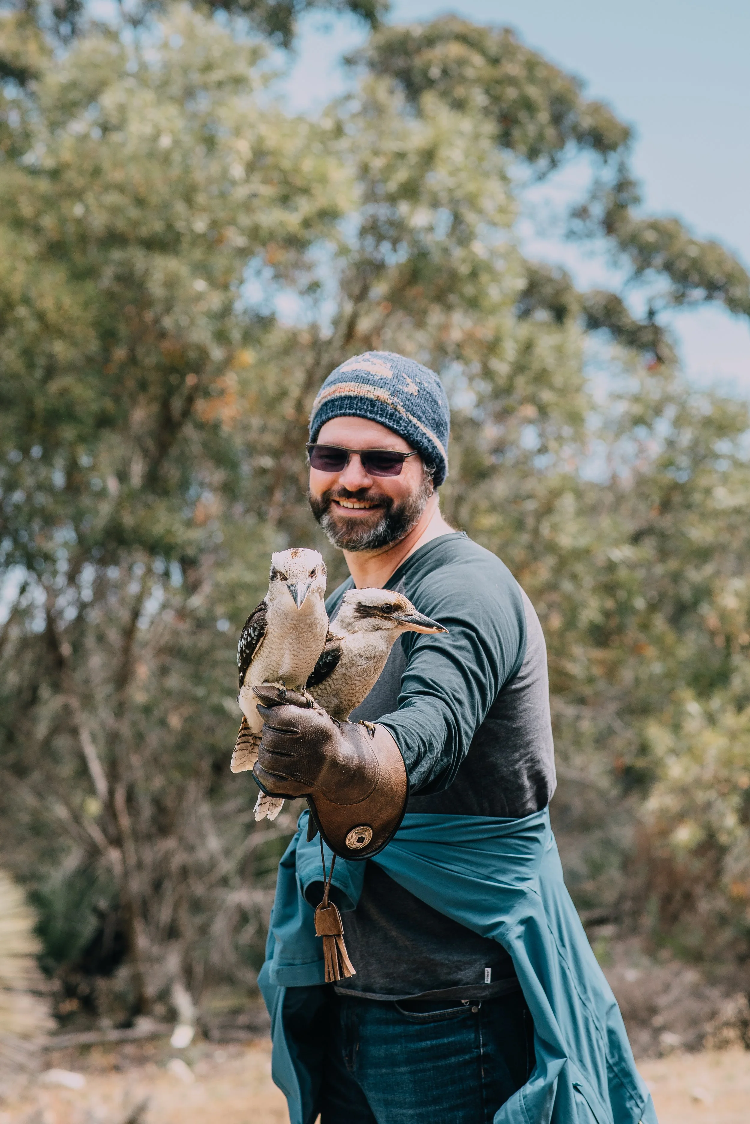 A man holding kookaburras at Raptor Domain on Kangaroo Island at a free-flight birds of prey show presentation