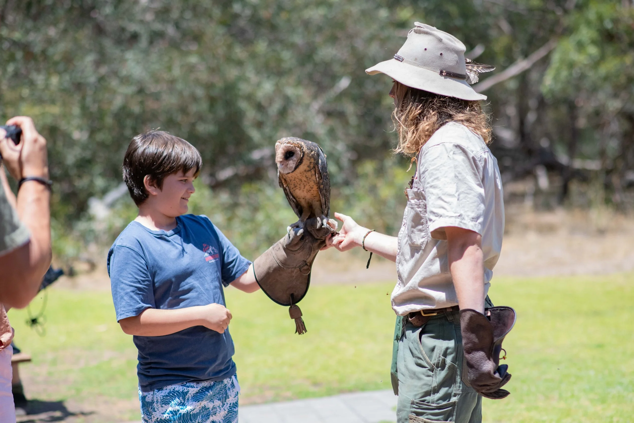 A young boy holding an owl at Raptor Domain on Kangaroo Island at the free-flight birds of prey presentation where you can meet a range of owls and birds