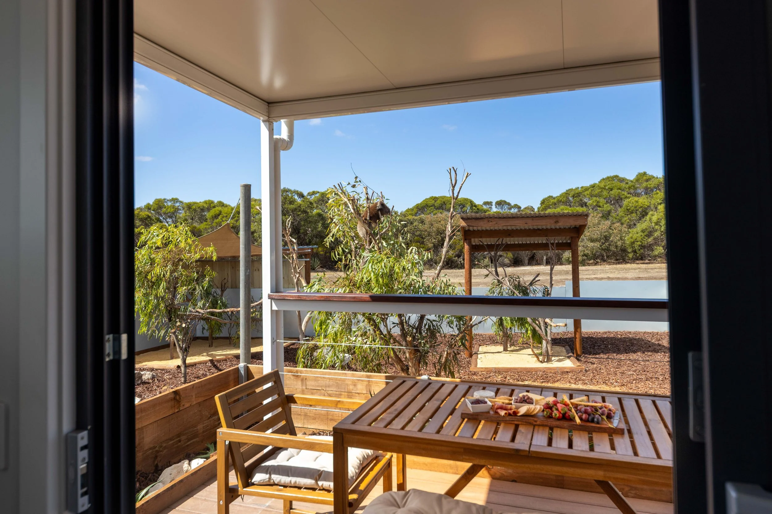 View from the deck of the koala cabin at the Kangaroo Island Koala Lodge on Kangaroo Island, South Australia looking into the private koala enclosure.