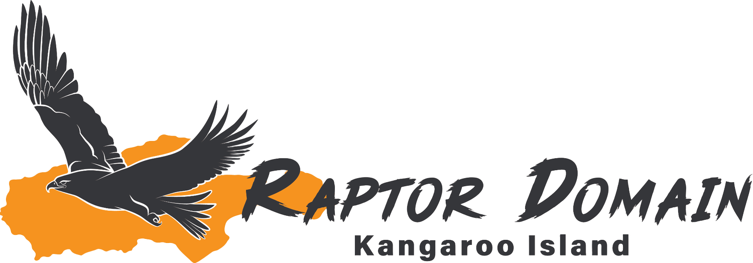Raptor Domain