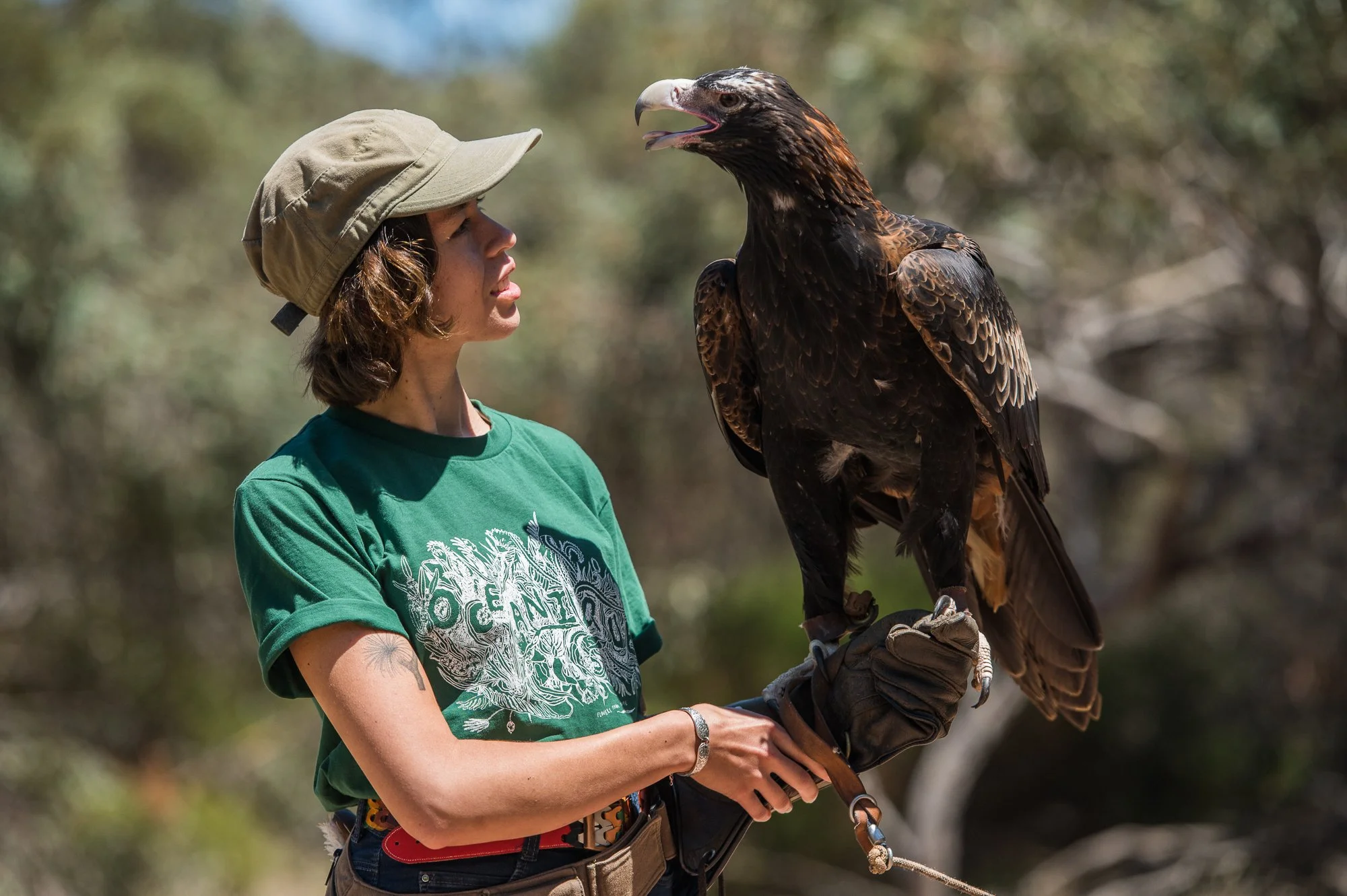 A young woman holding a wedge-tailed eagle at Raptor Domain during a free-flight birds of prey show presentation on Kangaroo Island, South Australia