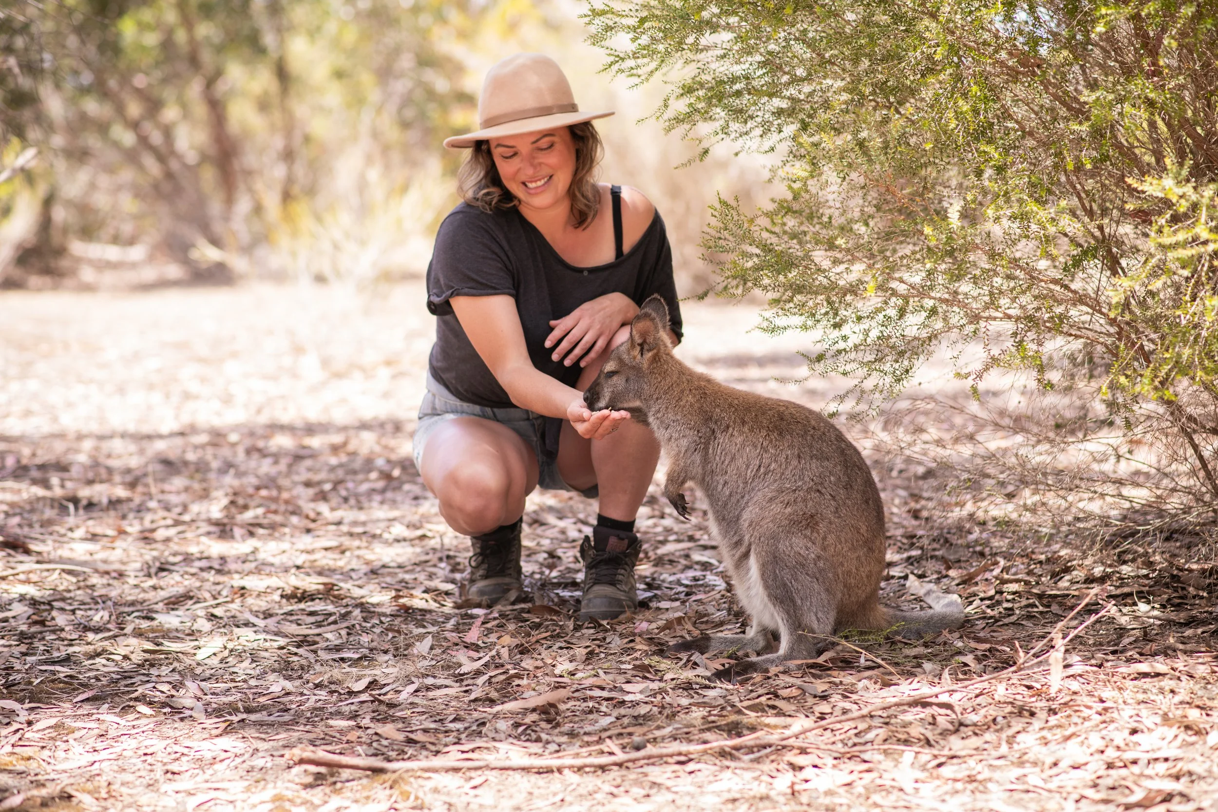A woman is smiling feeding a wallaby at the Kangaroo Island Wildlife Park during a wildlife encounter on Kangaroo Island in South Australia