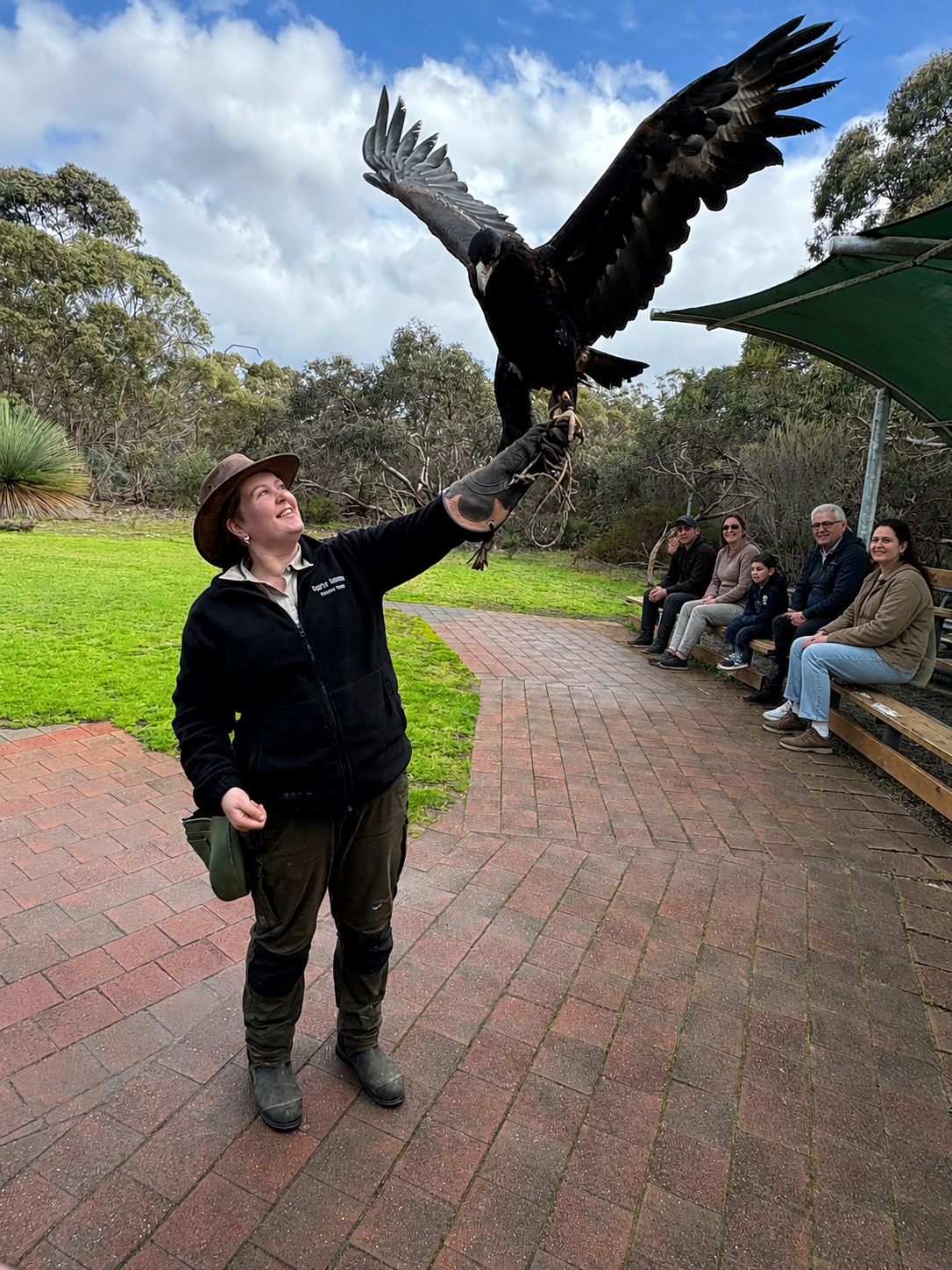 A woman is holding a wedge-tailed eagle on her glove during a birds of prey presentation at Raptor Domain on Kangaroo Island in South Australia while visitors watch