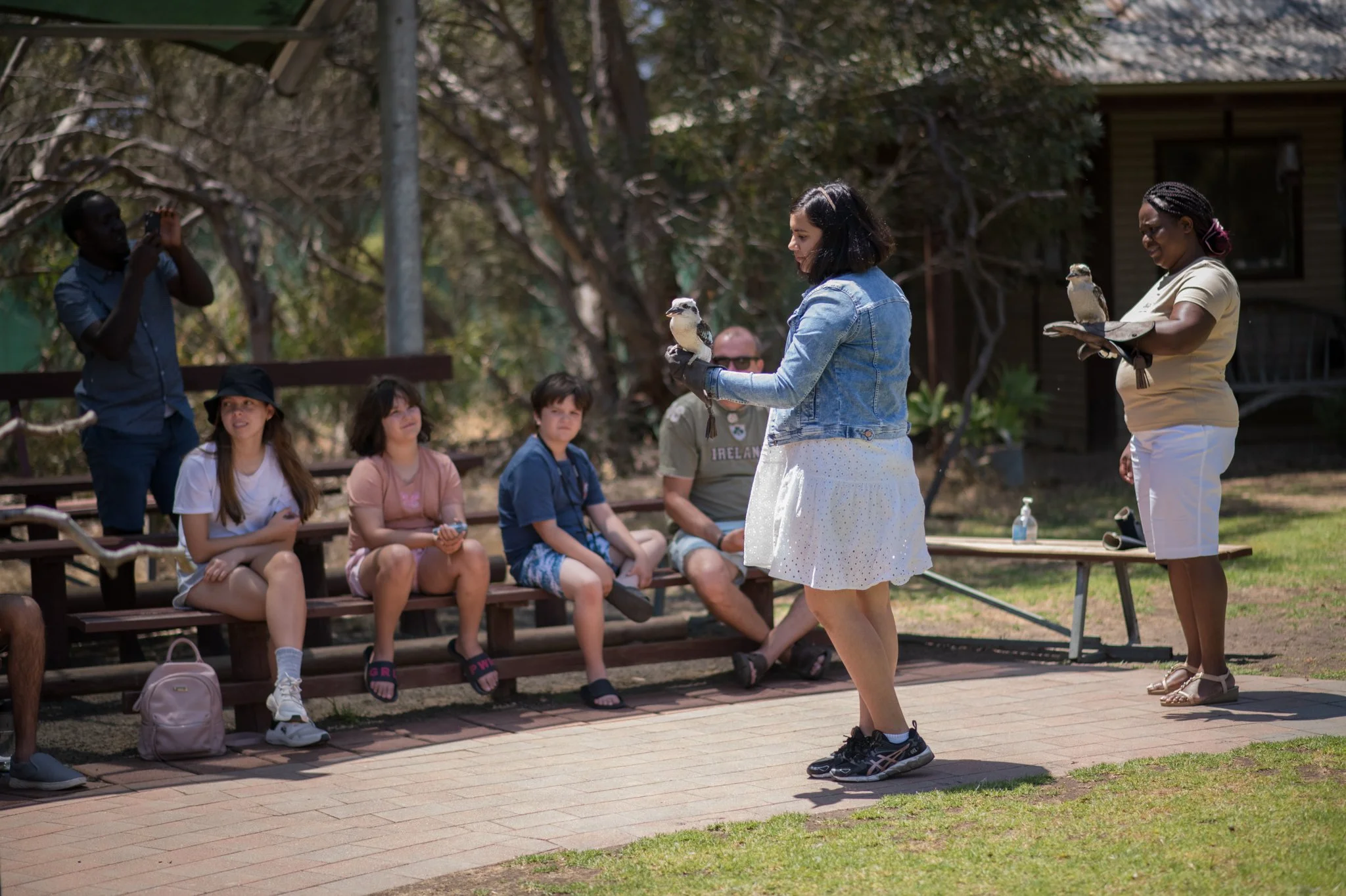 A crowd of people holding birds at Raptor Domain on Kangaroo Island at a free-flight birds of prey show presentation