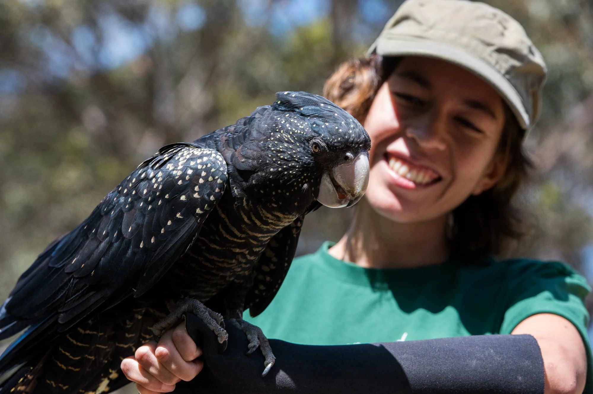 A person holding a cockatoo on Kangaroo Island at Raptor Domain where you can meet and hold cockatoos in South Australia.