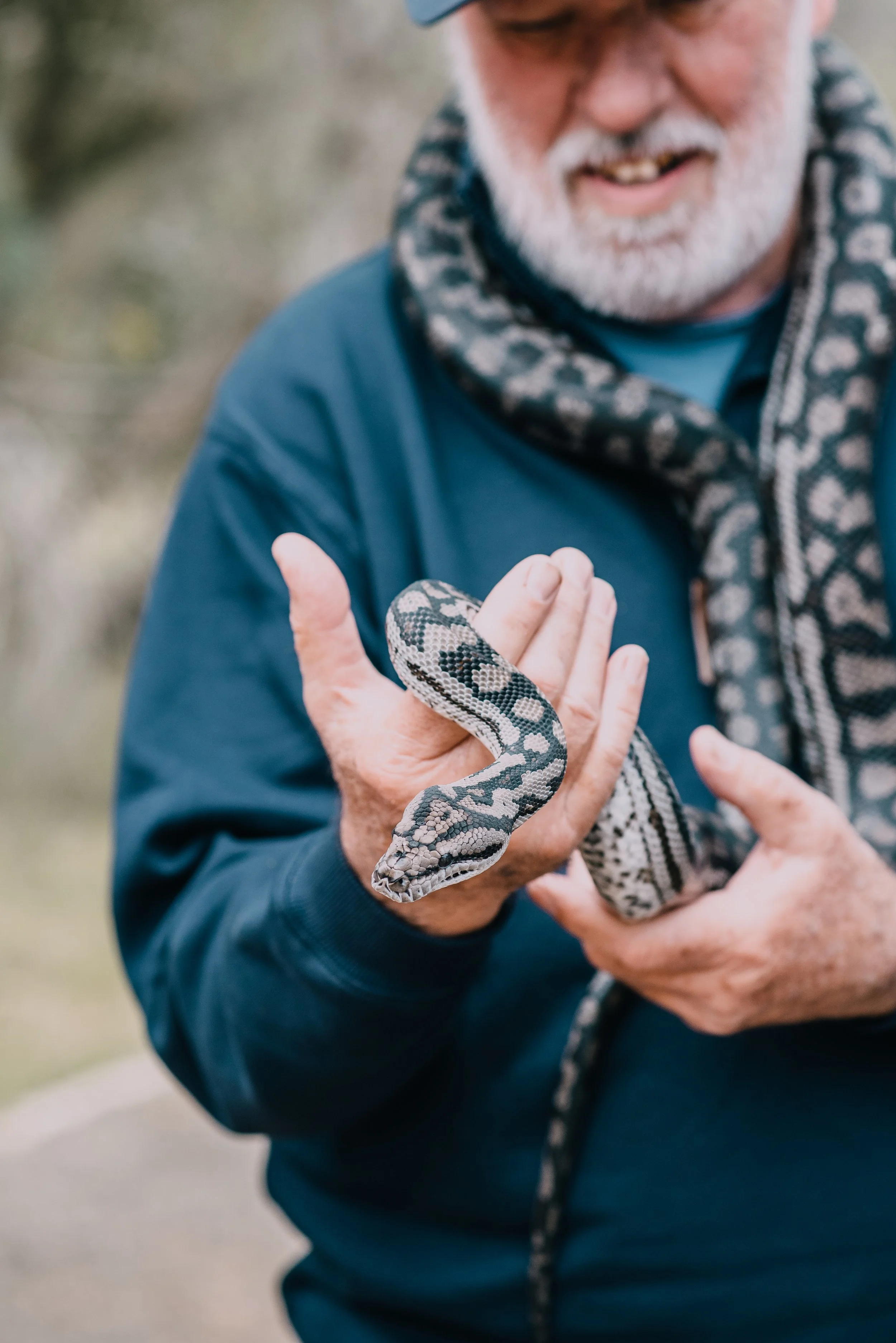 A man holding a snake at Raptor Domain and Kangaroo Island Wildlife Park on Kangaroo Island.